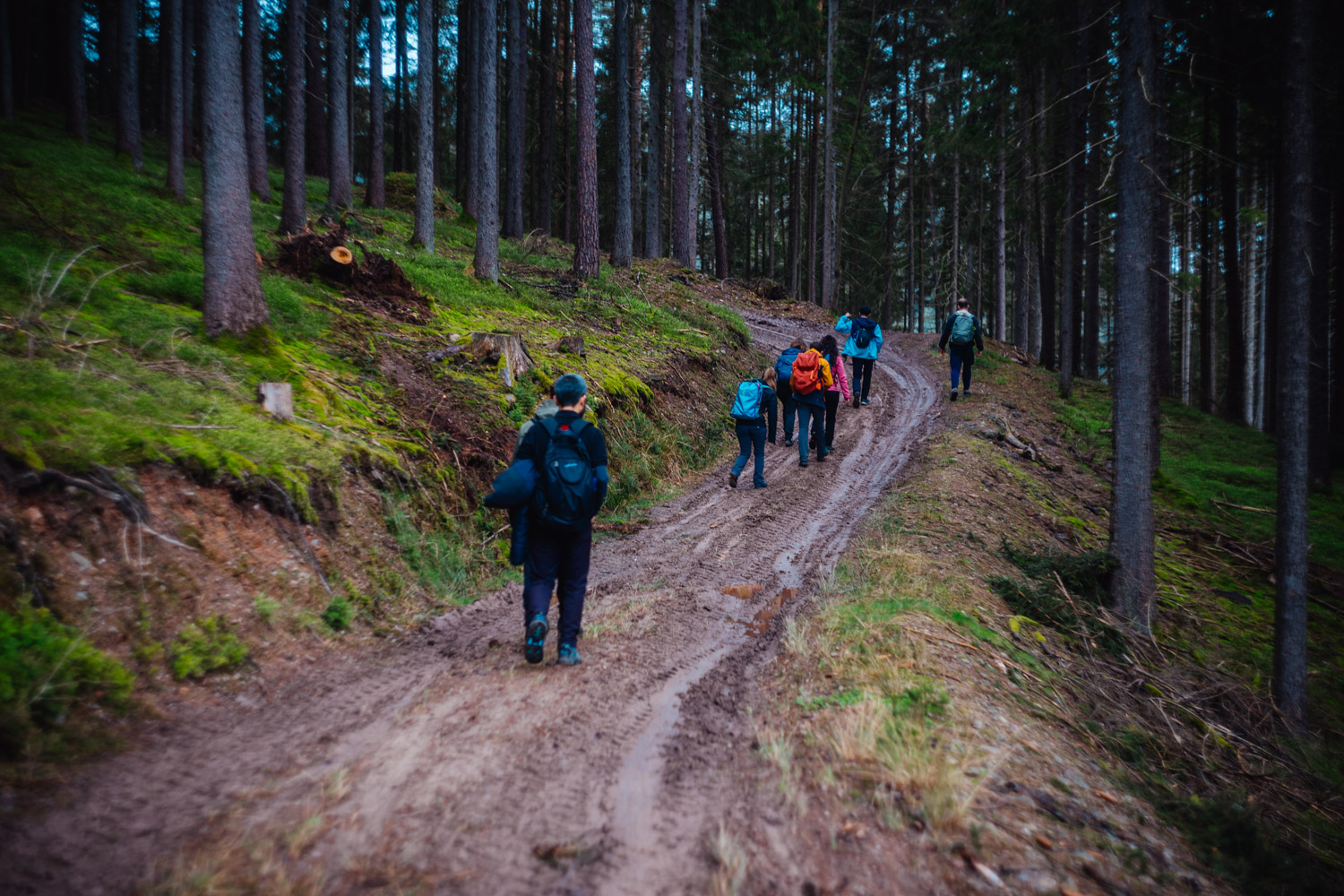 2024-03-24 - Weidenberg Forest-07758