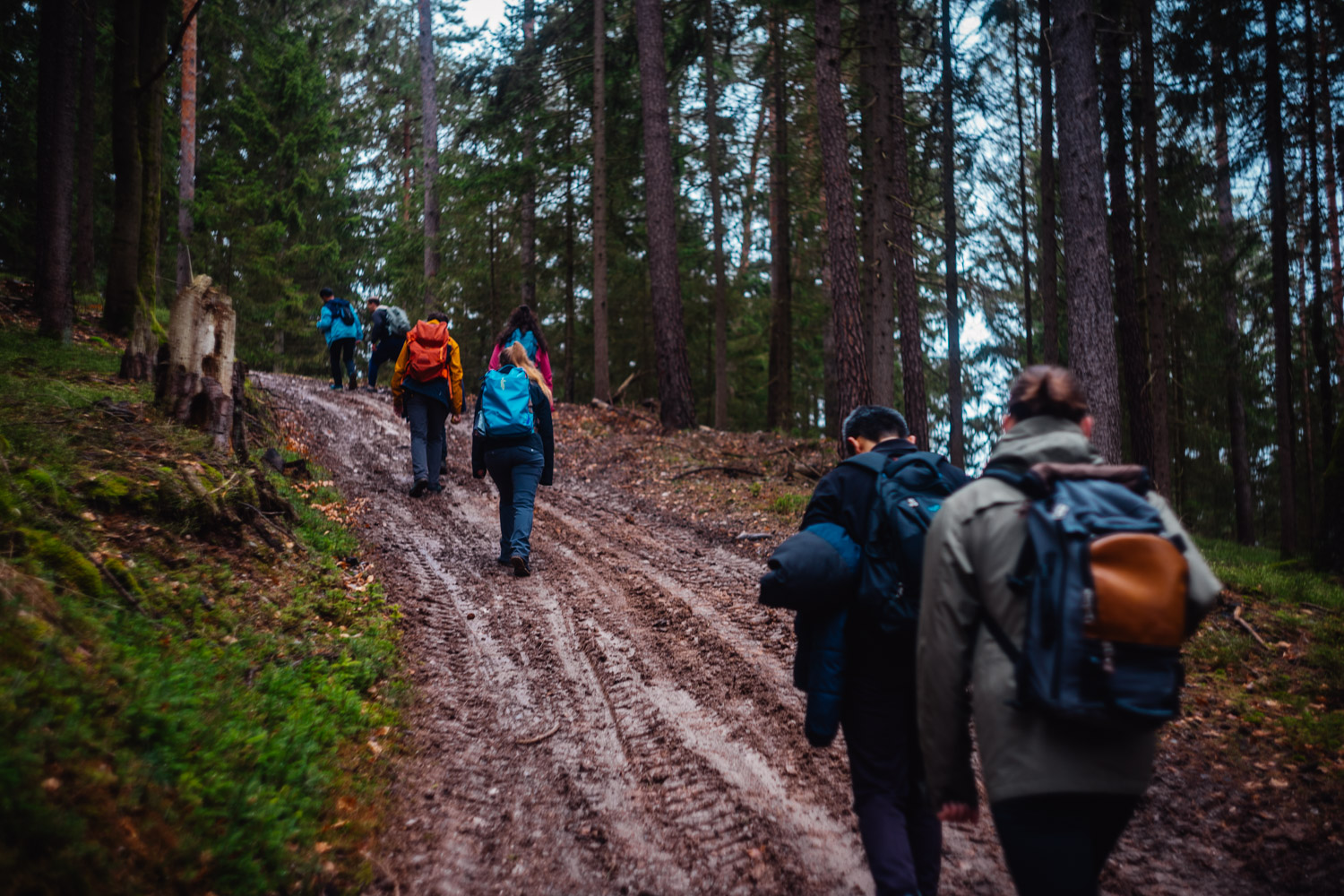 2024-03-24 - Weidenberg Forest-07760