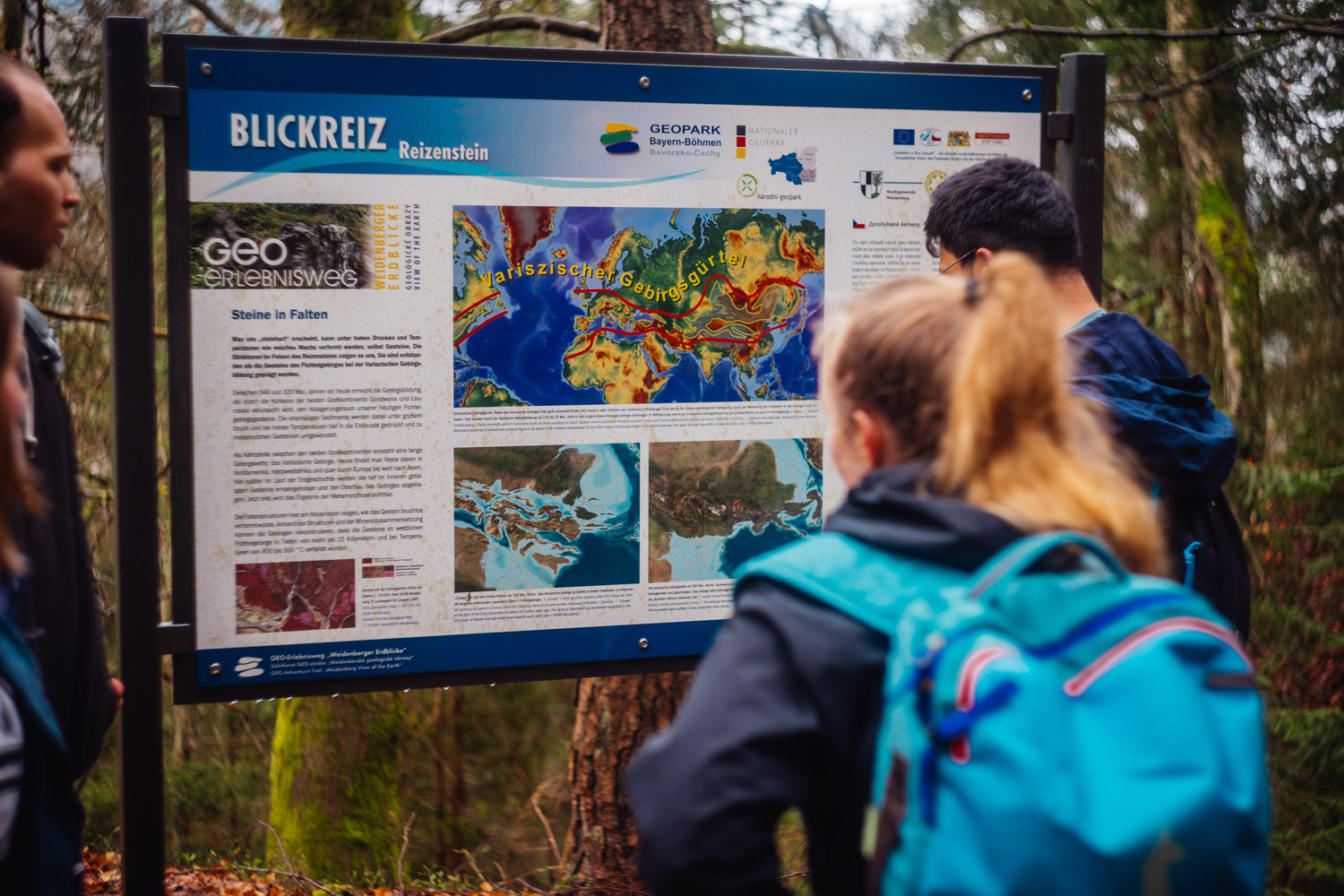 2024-03-24 - Weidenberg Forest-07765