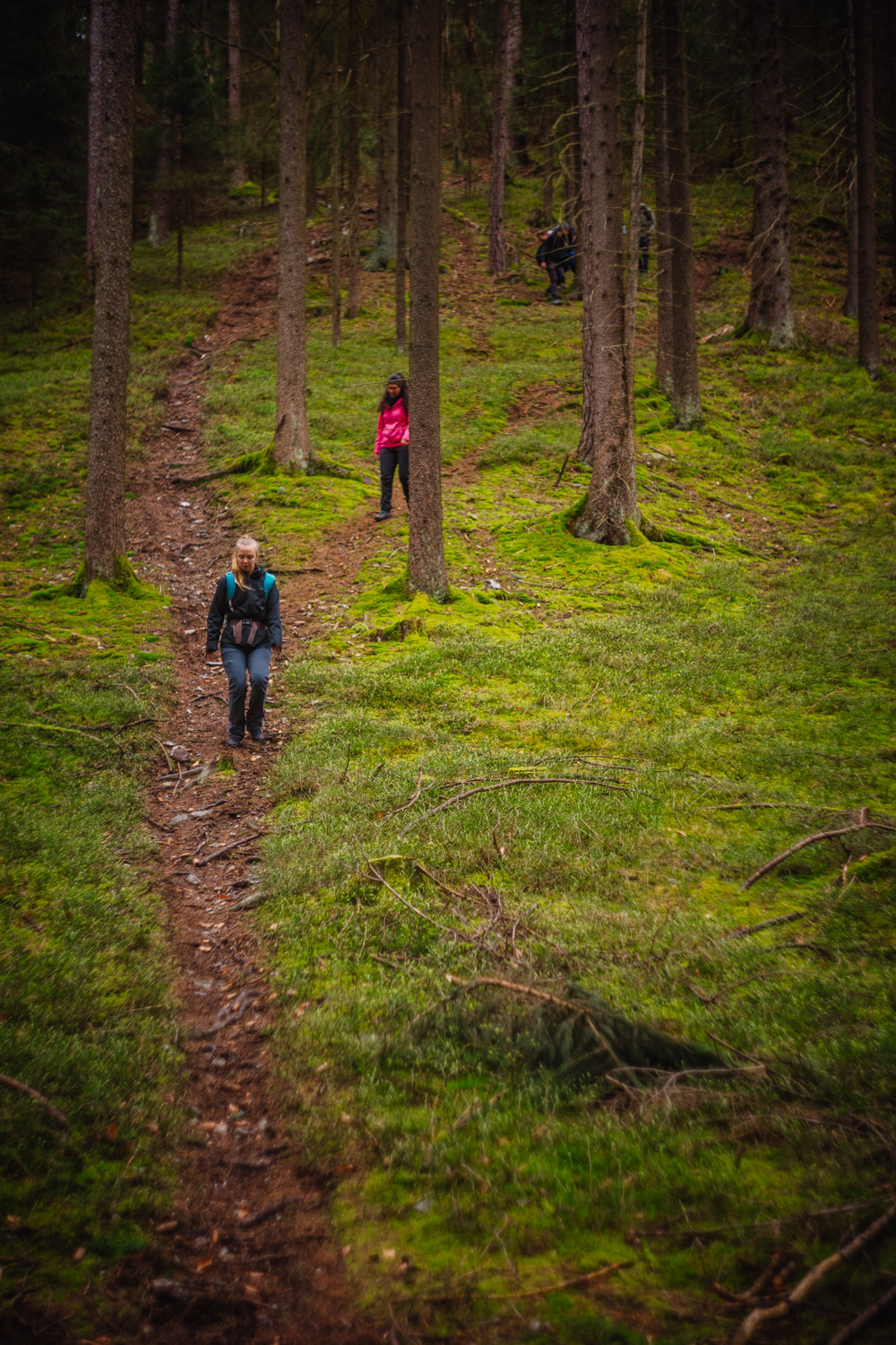 2024-03-24 - Weidenberg Forest-07771