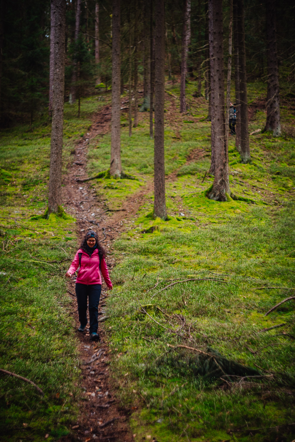 2024-03-24 - Weidenberg Forest-07779