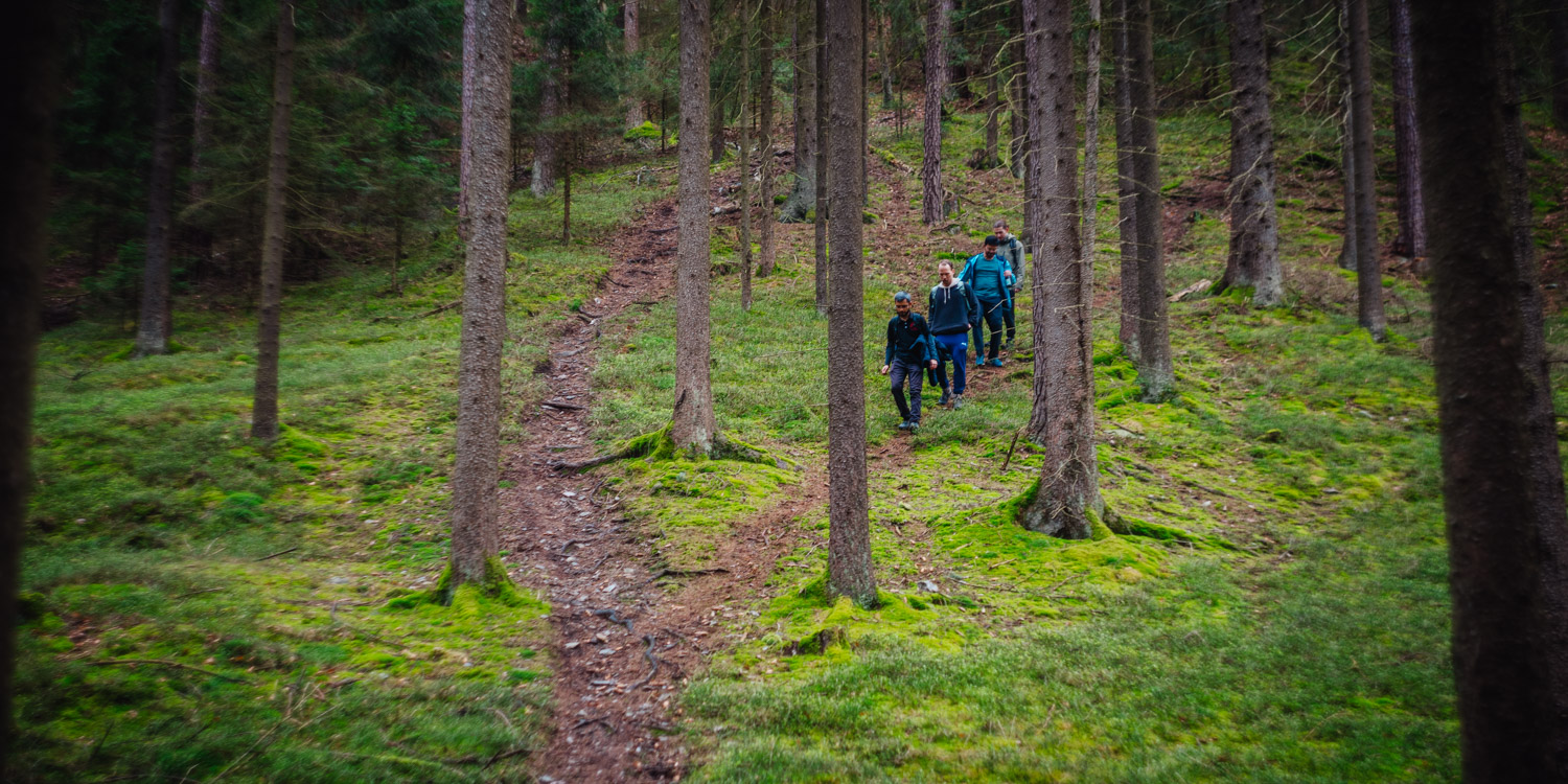 2024-03-24 - Weidenberg Forest-07780
