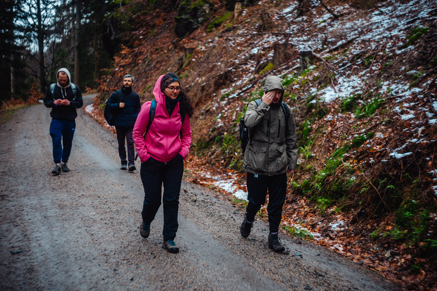 2024-03-24 - Weidenberg Forest-07791