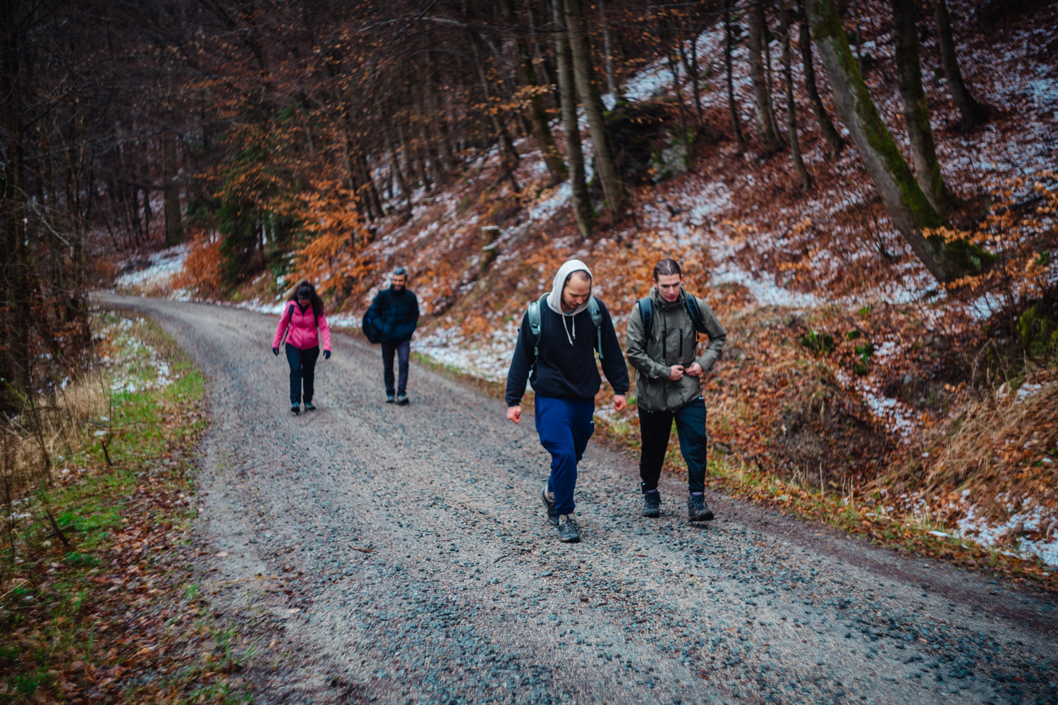 2024-03-24 - Weidenberg Forest-07798