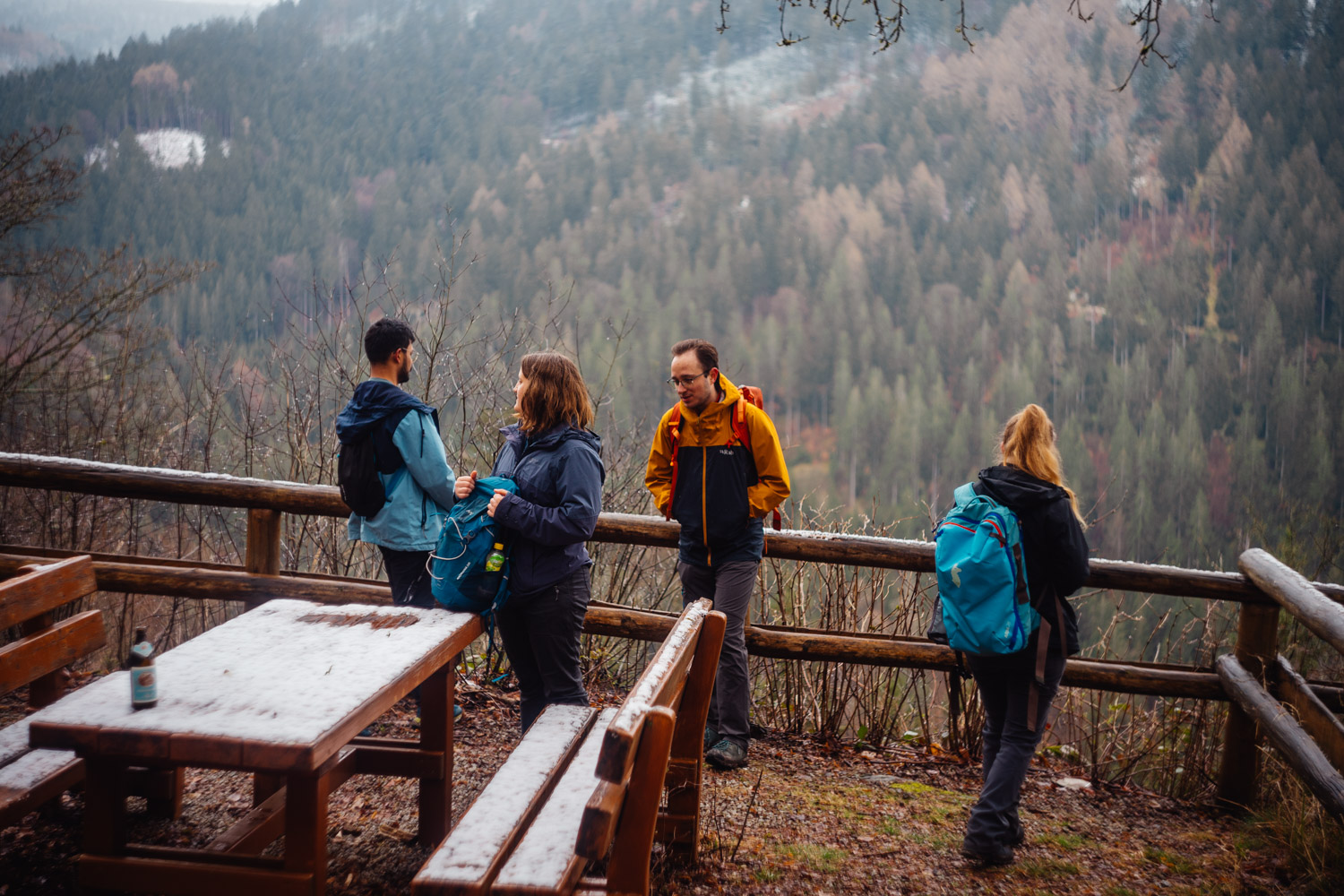 2024-03-24 - Weidenberg Forest-07800
