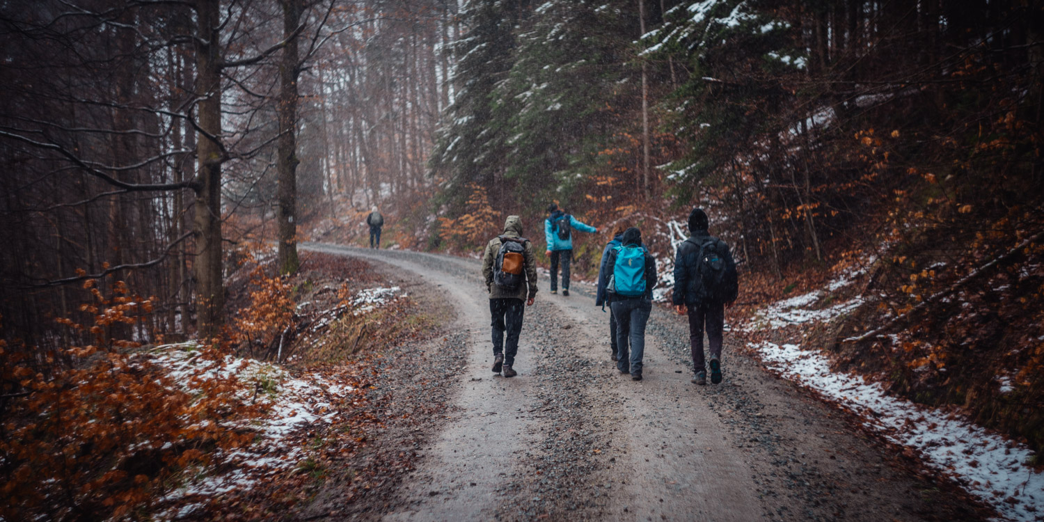 2024-03-24 - Weidenberg Forest-07835