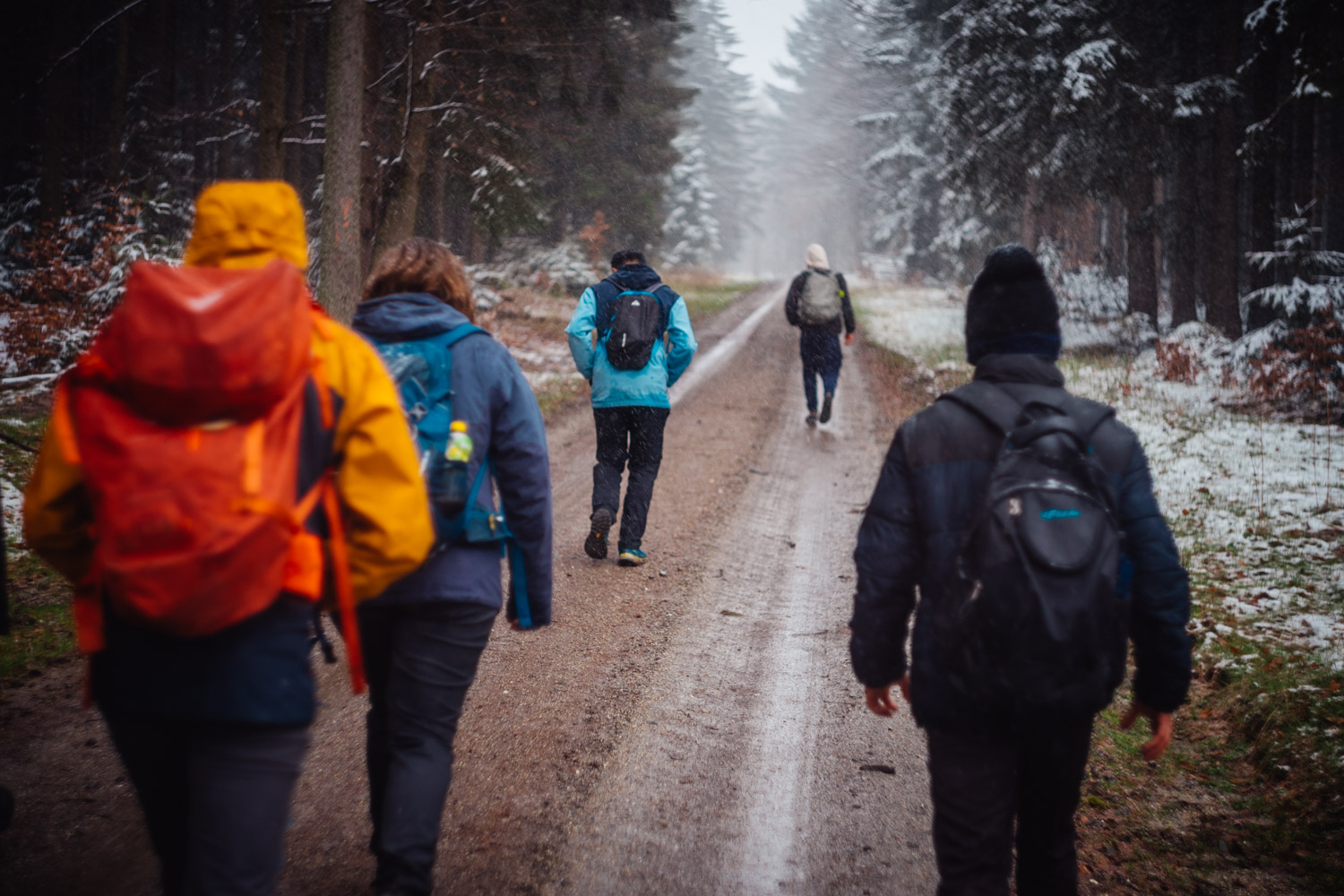 2024-03-24 - Weidenberg Forest-07842