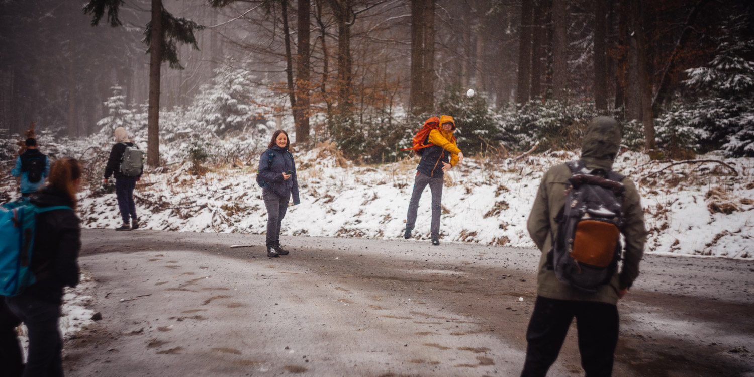 2024-03-24 - Weidenberg Forest-07858
