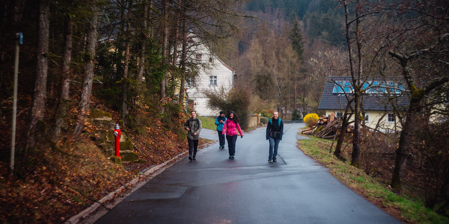 2024-03-24 - Weidenberg Forest-07884