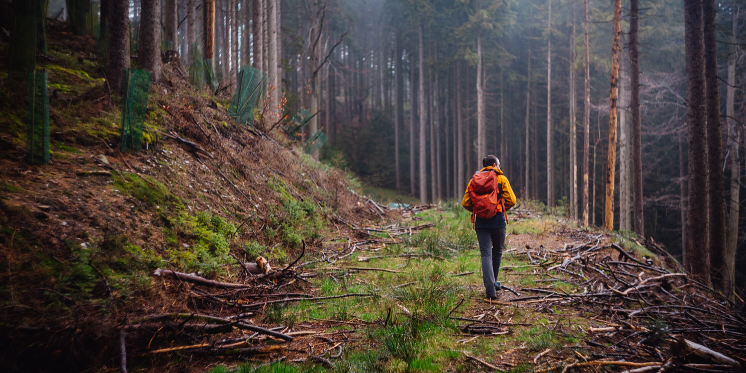 2024-03-24 - Weidenberg Forest-07888