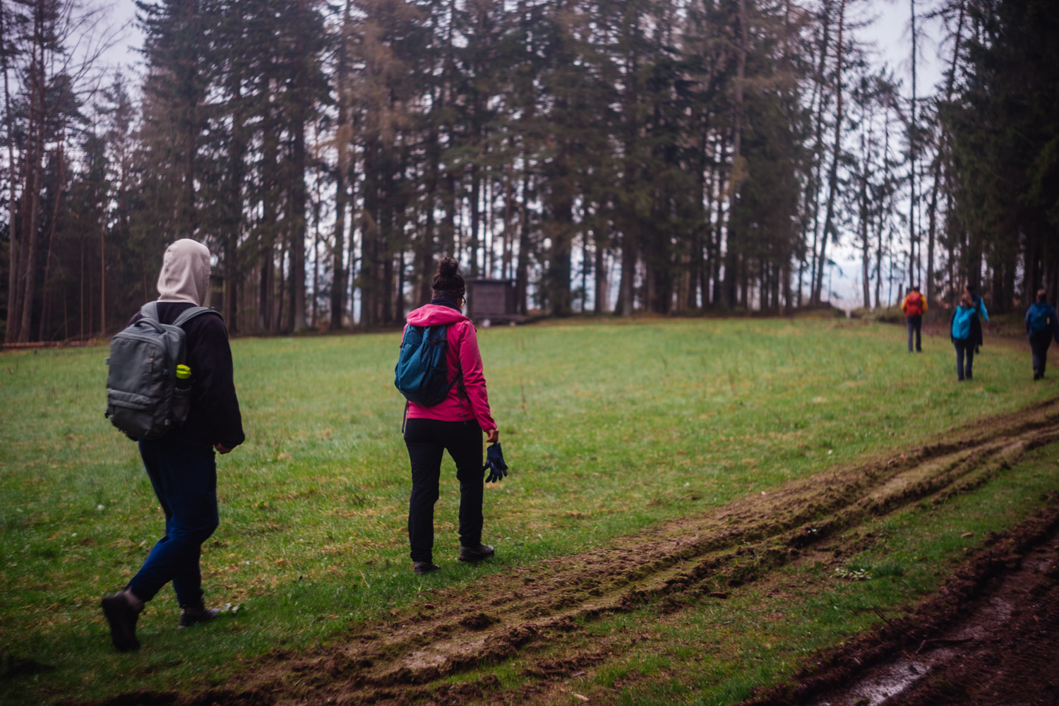 2024-03-24 - Weidenberg Forest-07899