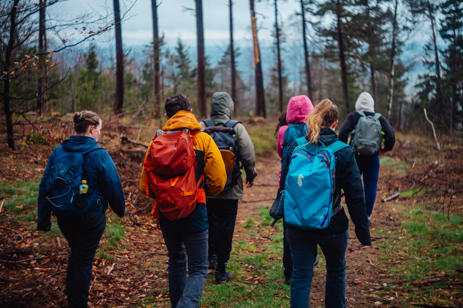 2024-03-24 - Weidenberg Forest-07903