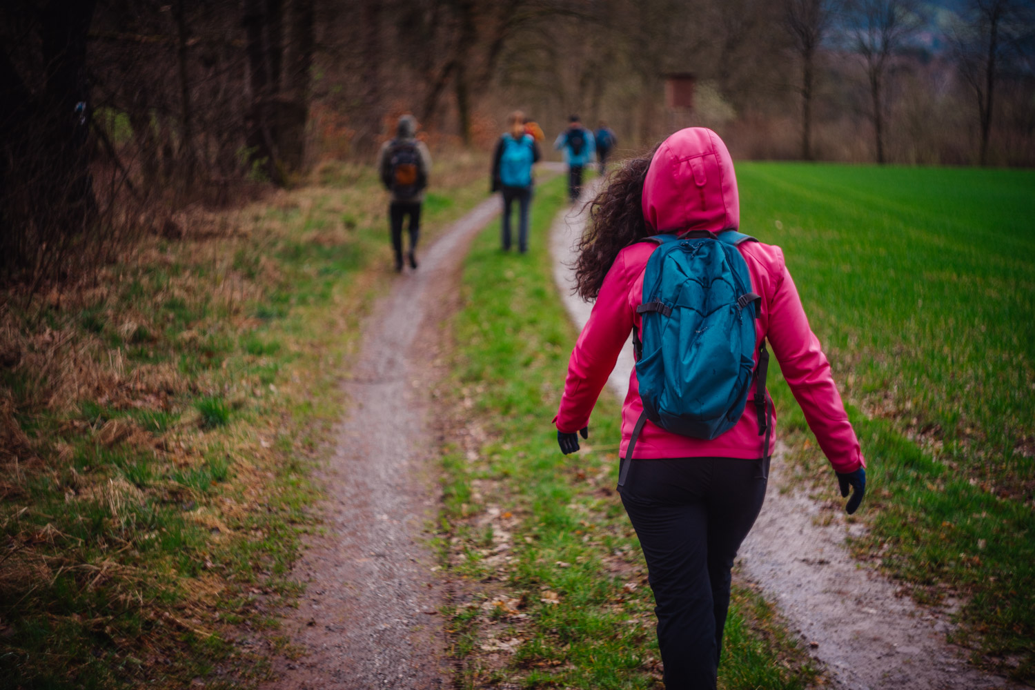 2024-03-24 - Weidenberg Forest-07912