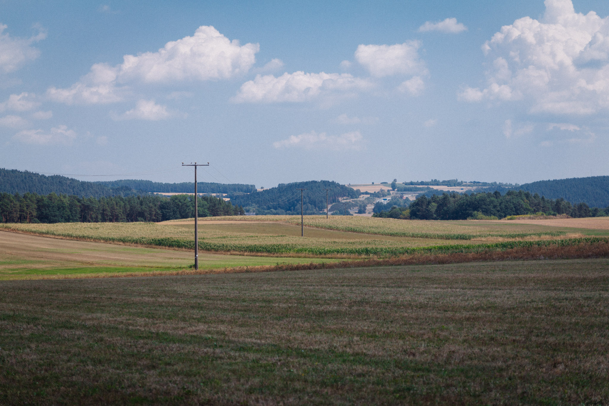 2018-08-04 Trebgast-9481