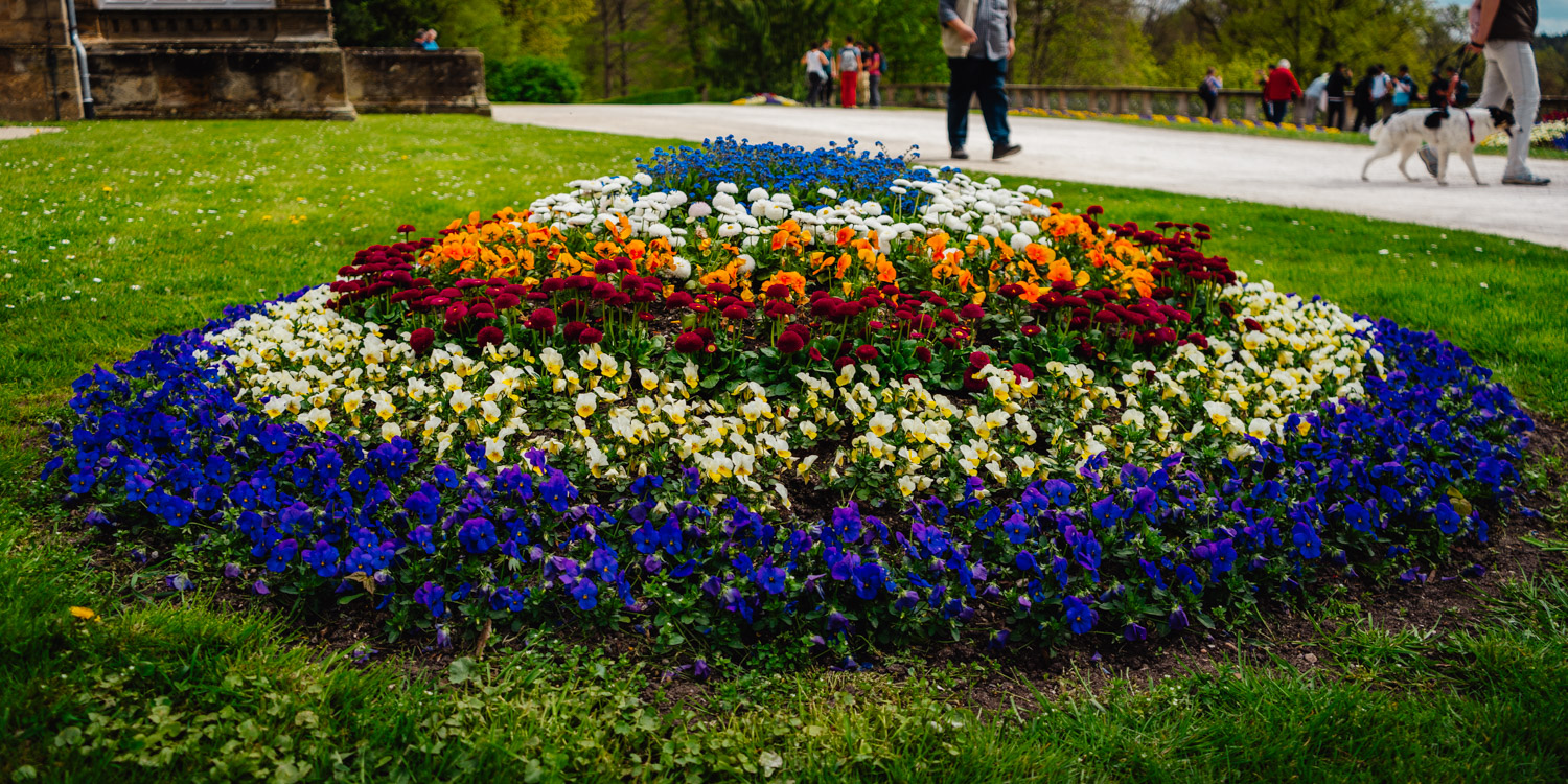 2024-04-14 Eckersdorf 09677