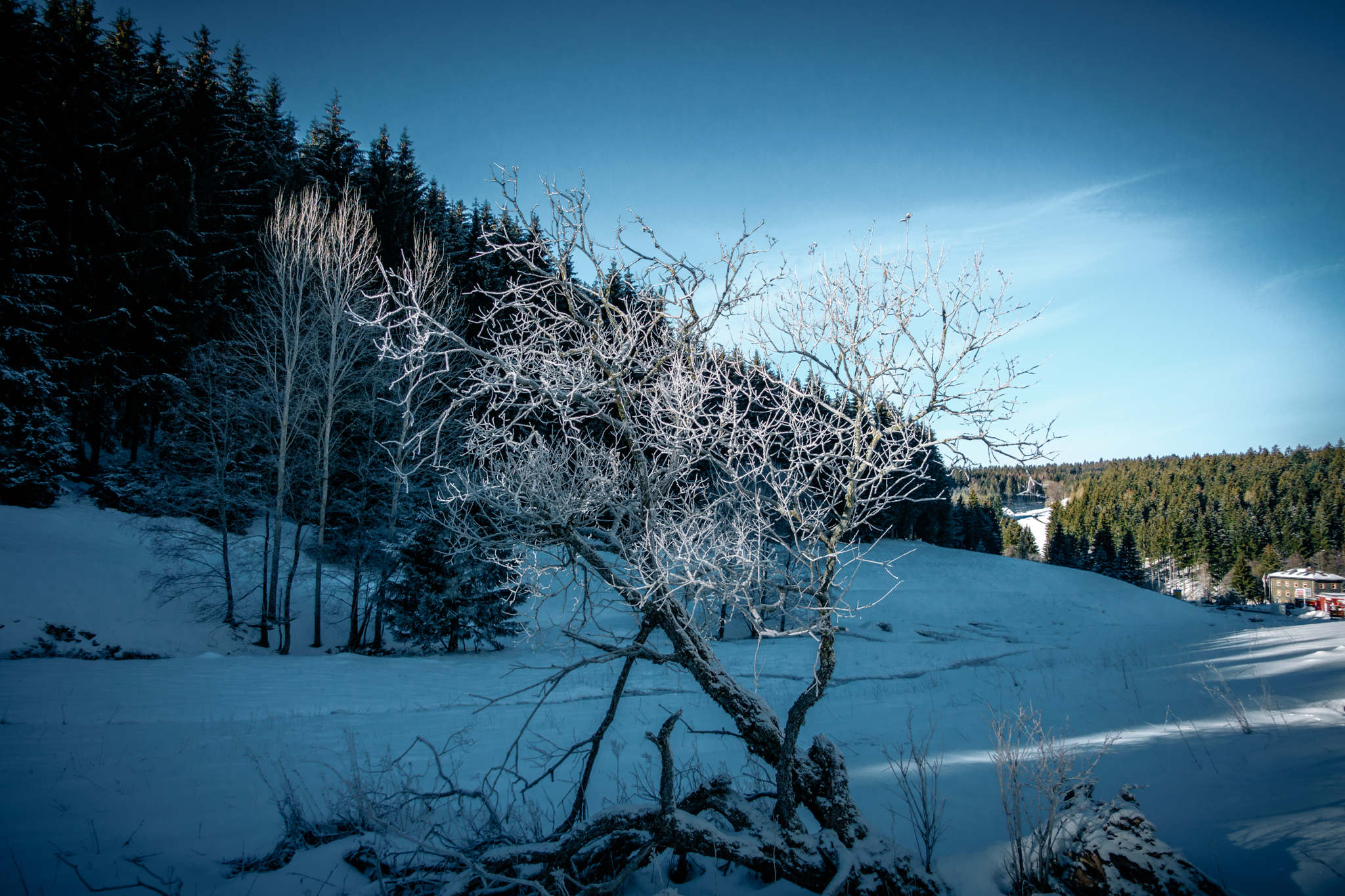 Bischofsgruen-Schneeschuhwanderung-15