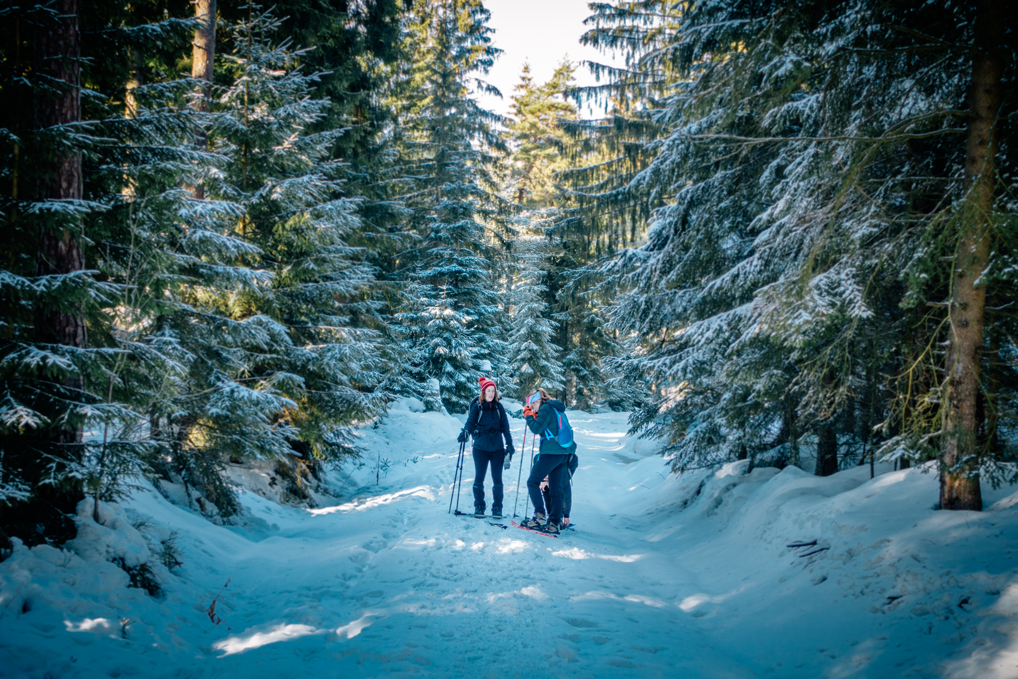 Bischofsgruen-Schneeschuhwanderung-37