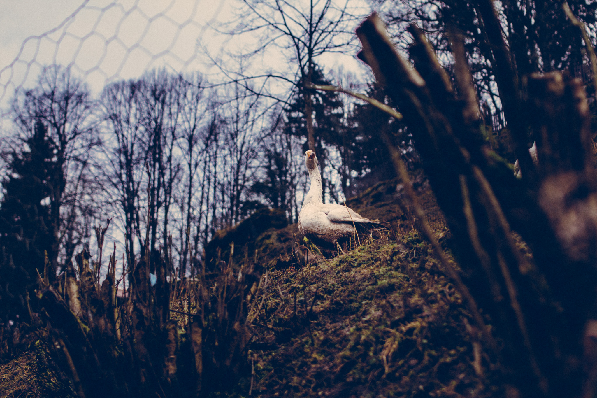 Pottenstein-hike-3372