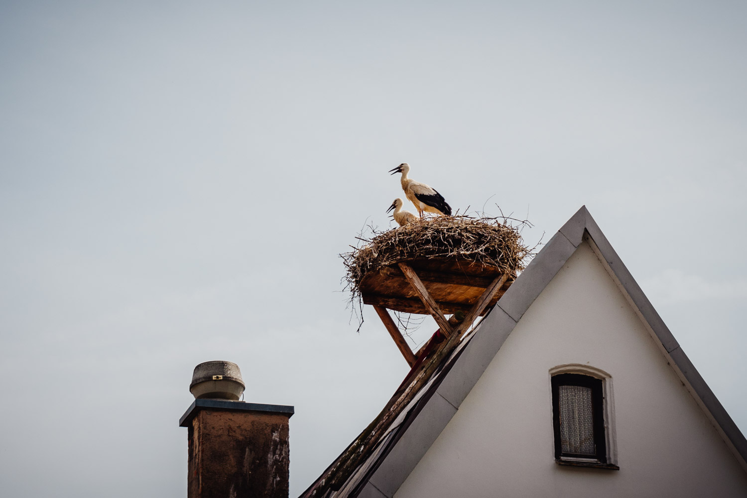 2024-06-29 Pegnitz Frankenjura 02442