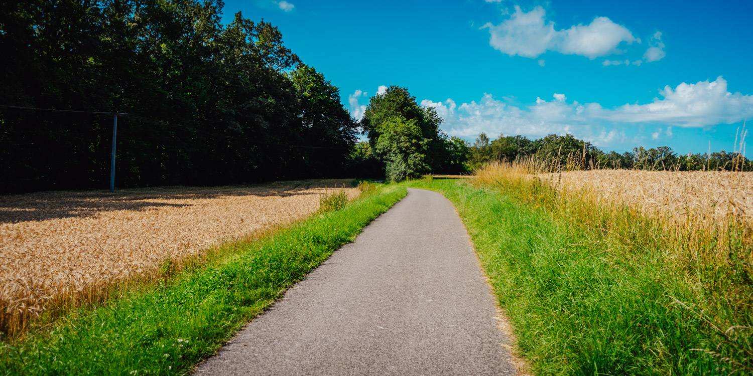 2024-07-14 Glashütten 02624