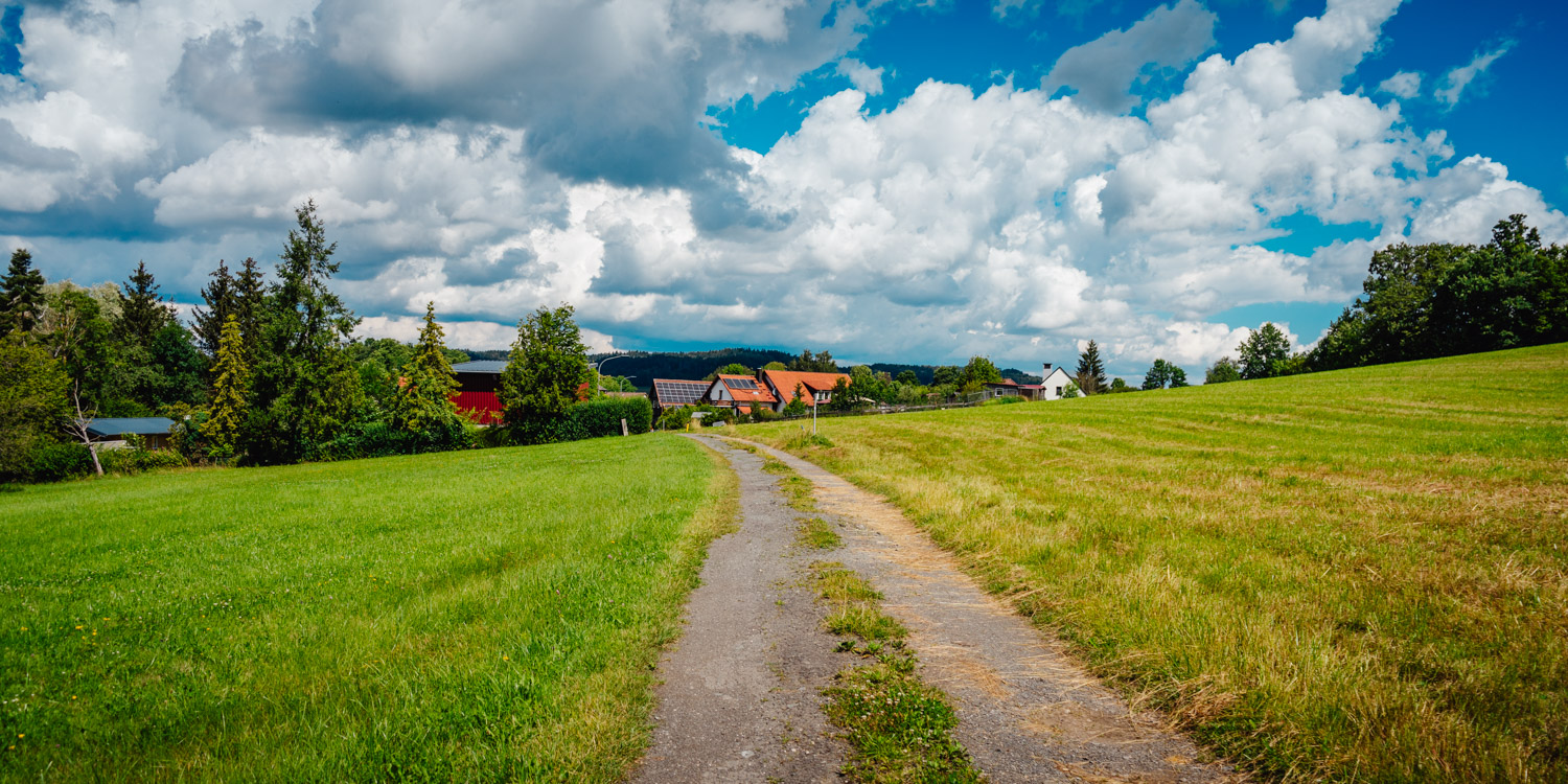 2024-07-14 Glashütten 02683