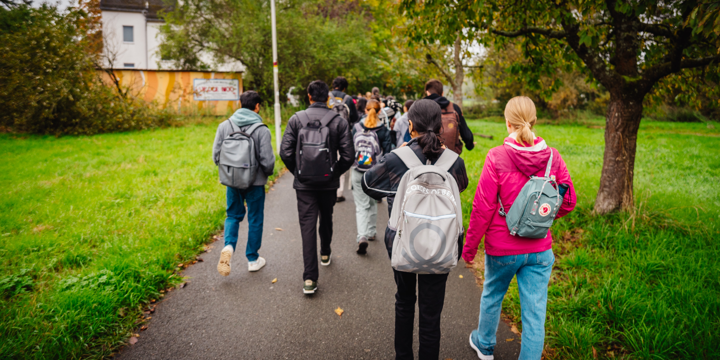 2024-10-19 Buchstein 09356