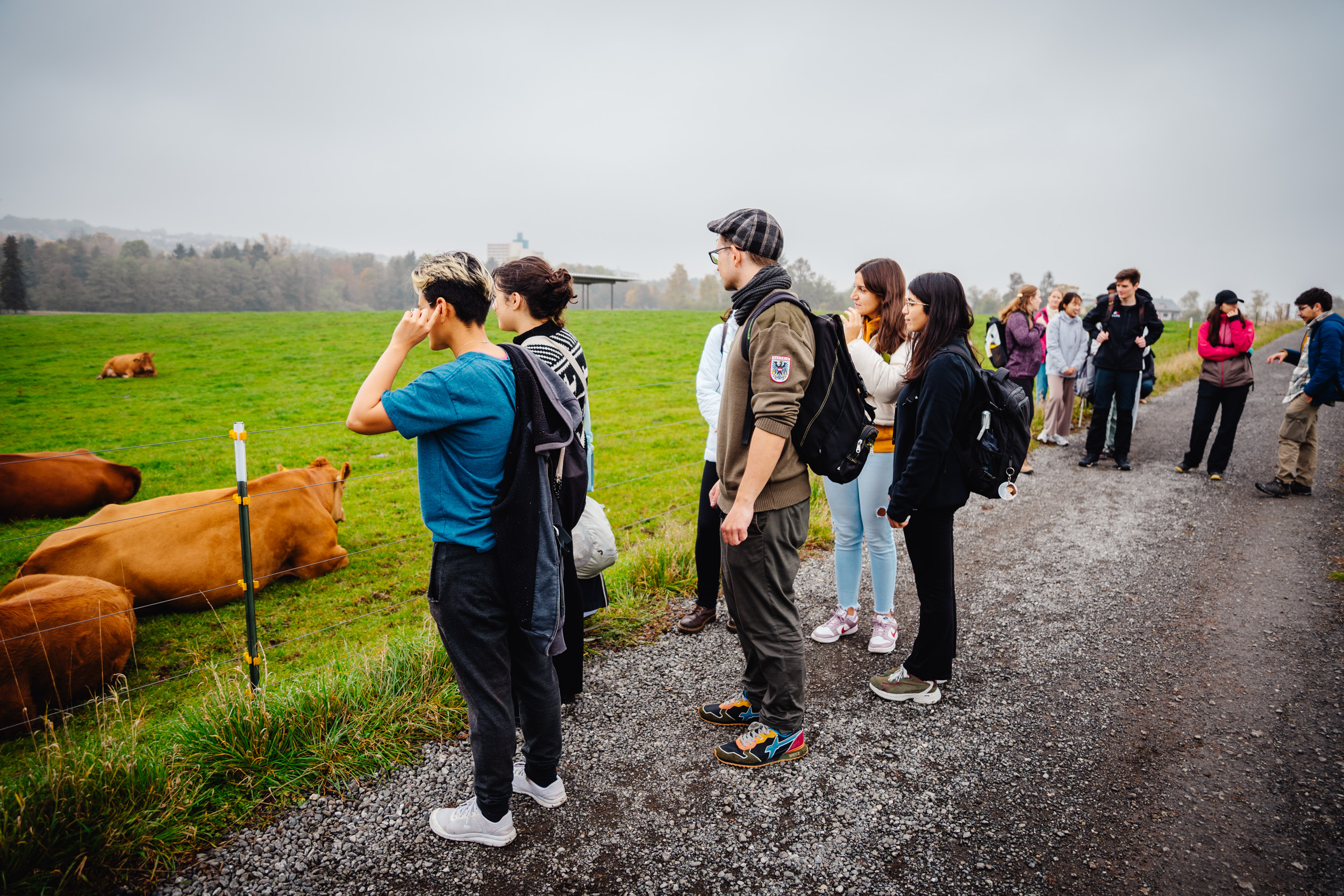 2024-10-19 Buchstein 09382