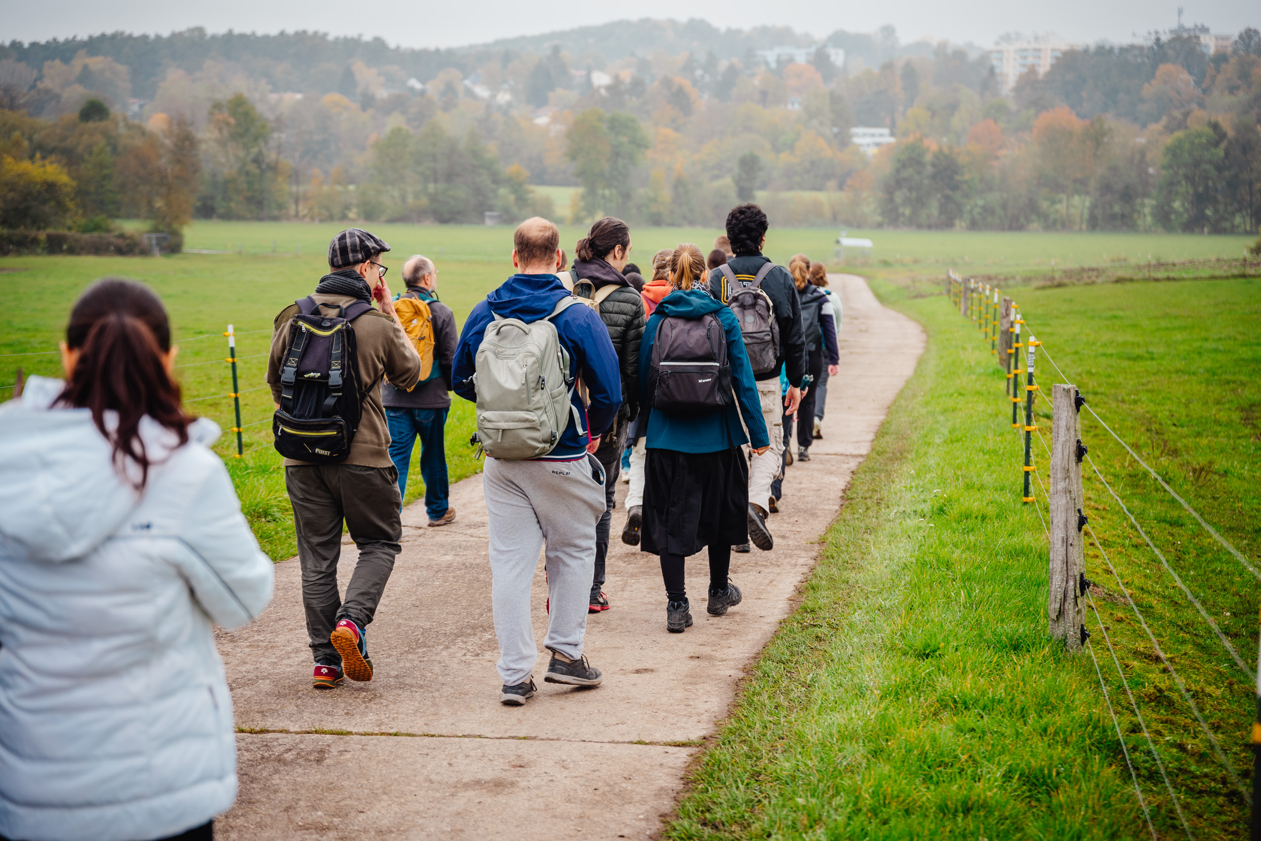2024-10-19 Buchstein 09394