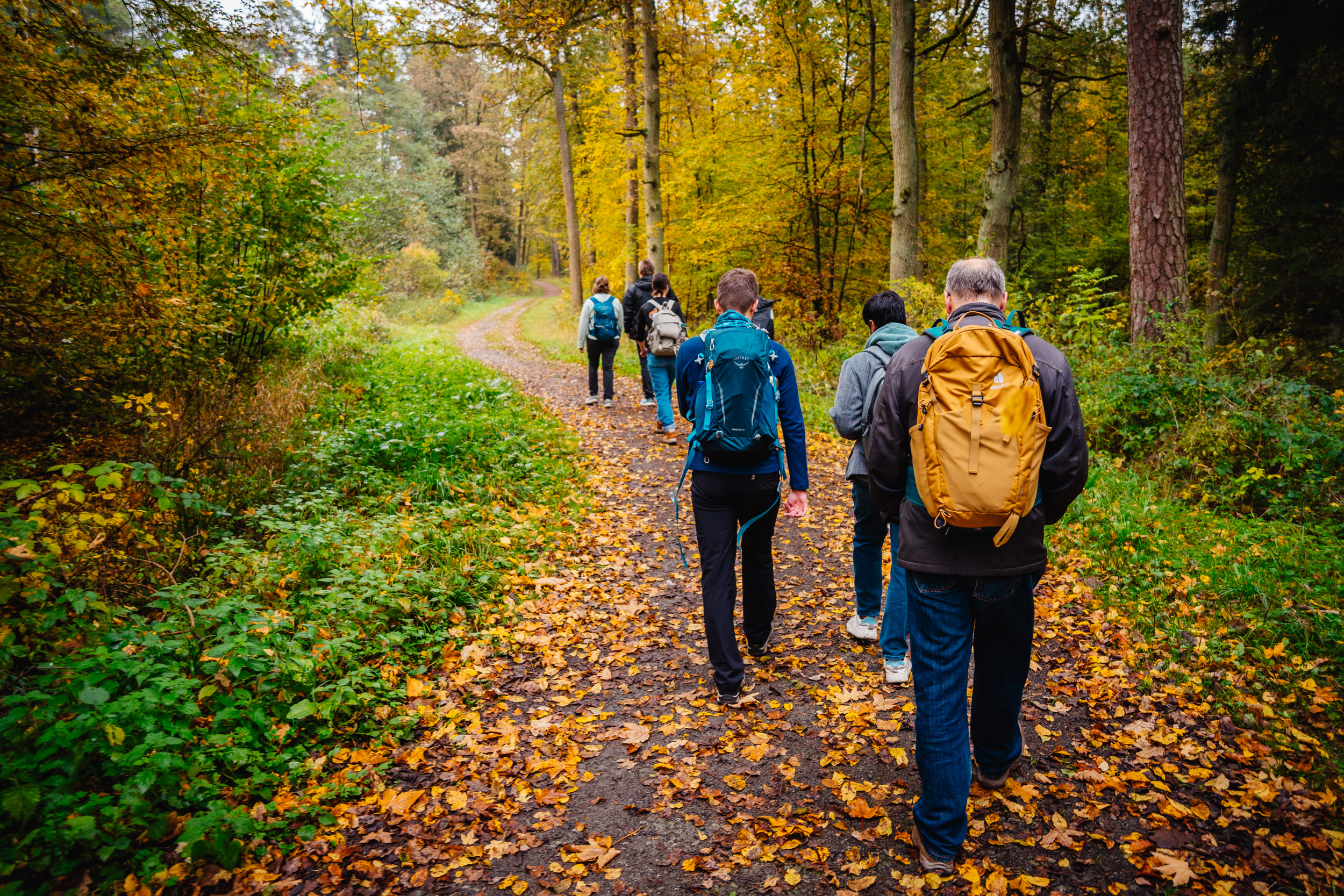 Bayreuth Autumn Hike