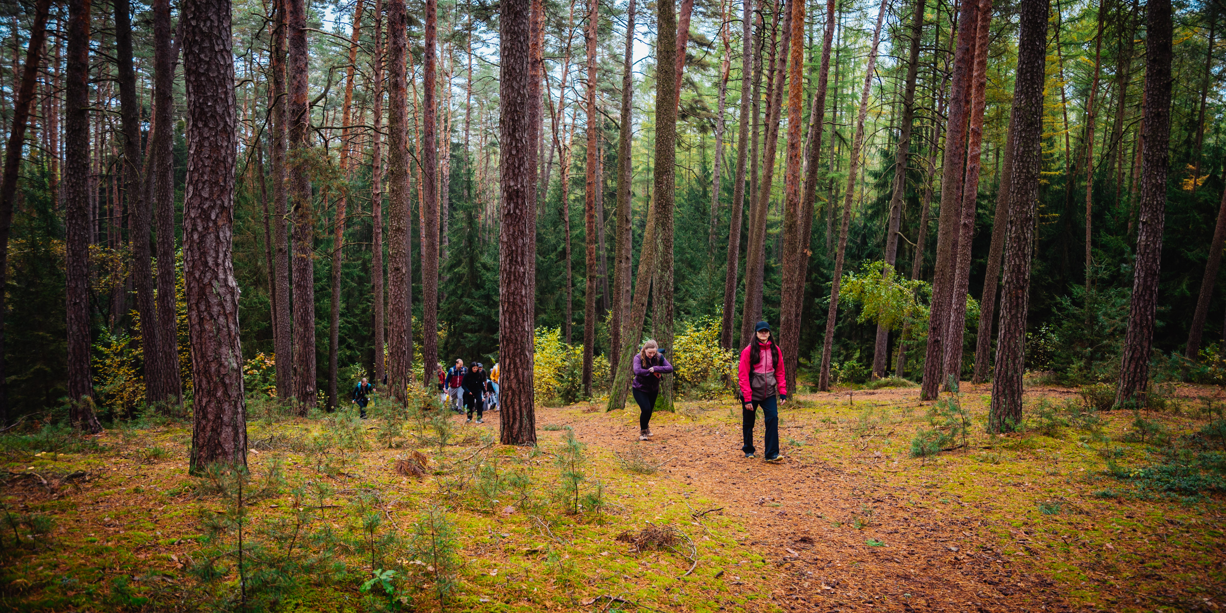 2024-10-19 Buchstein 09409