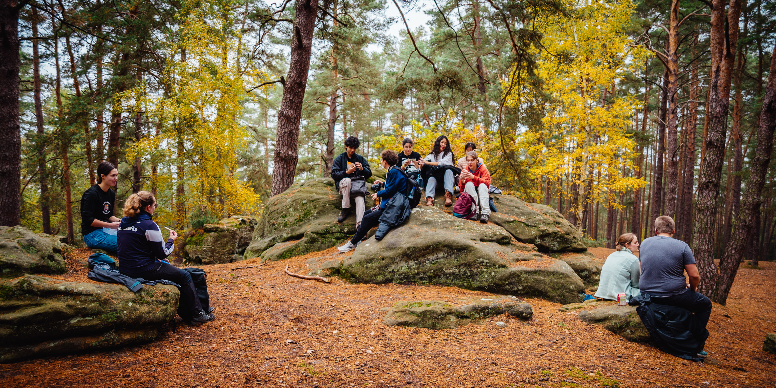 2024-10-19 Buchstein 09421