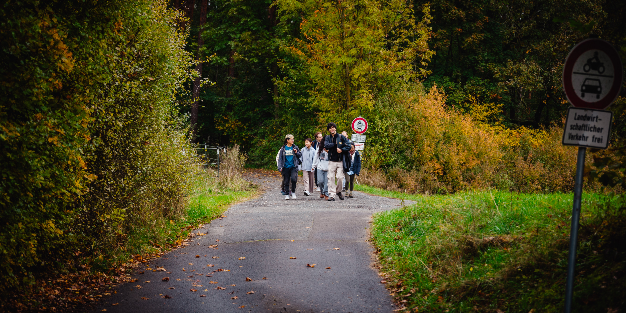 2024-10-19 Buchstein 09454