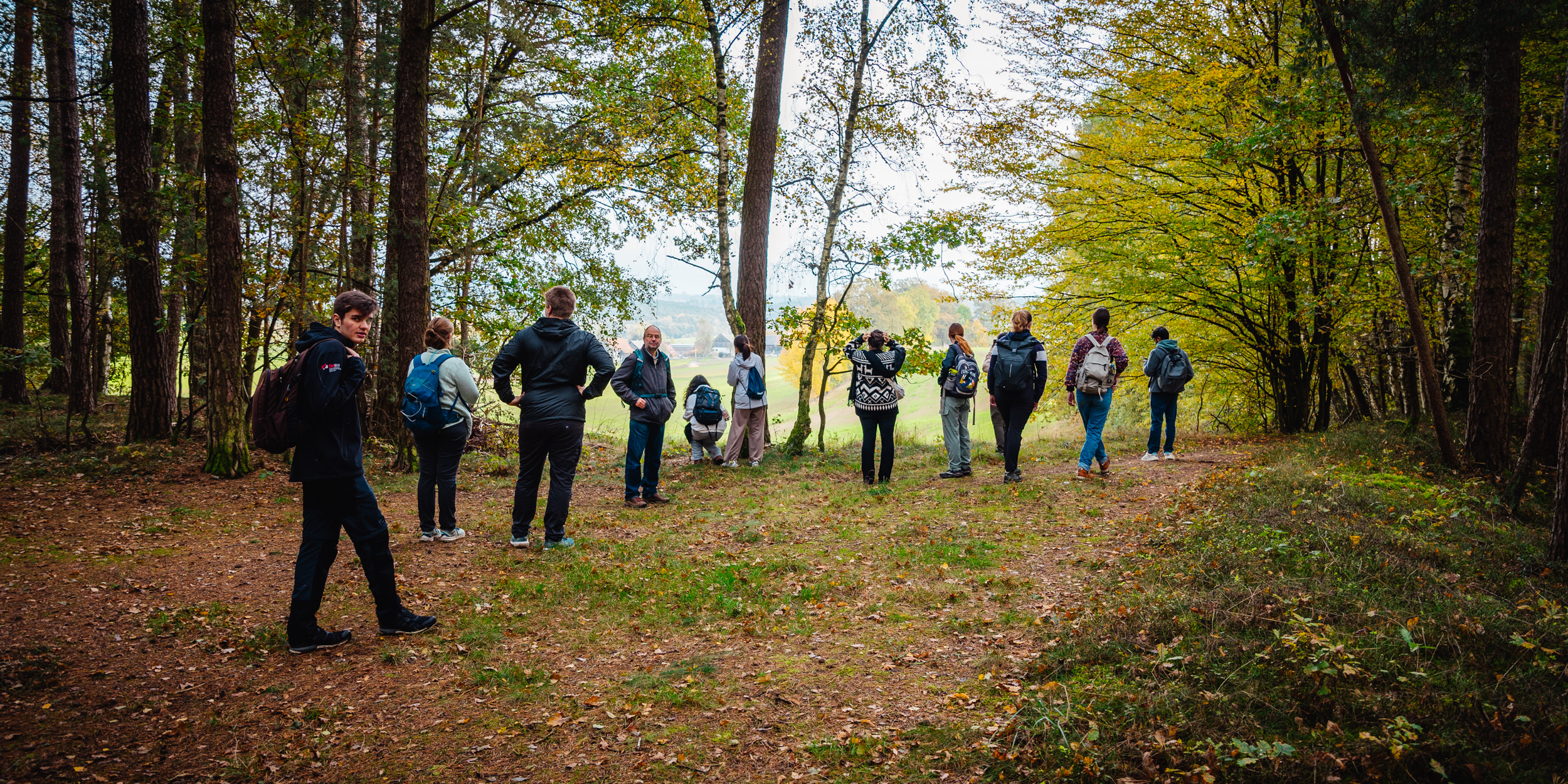 2024-10-19 Buchstein 09530