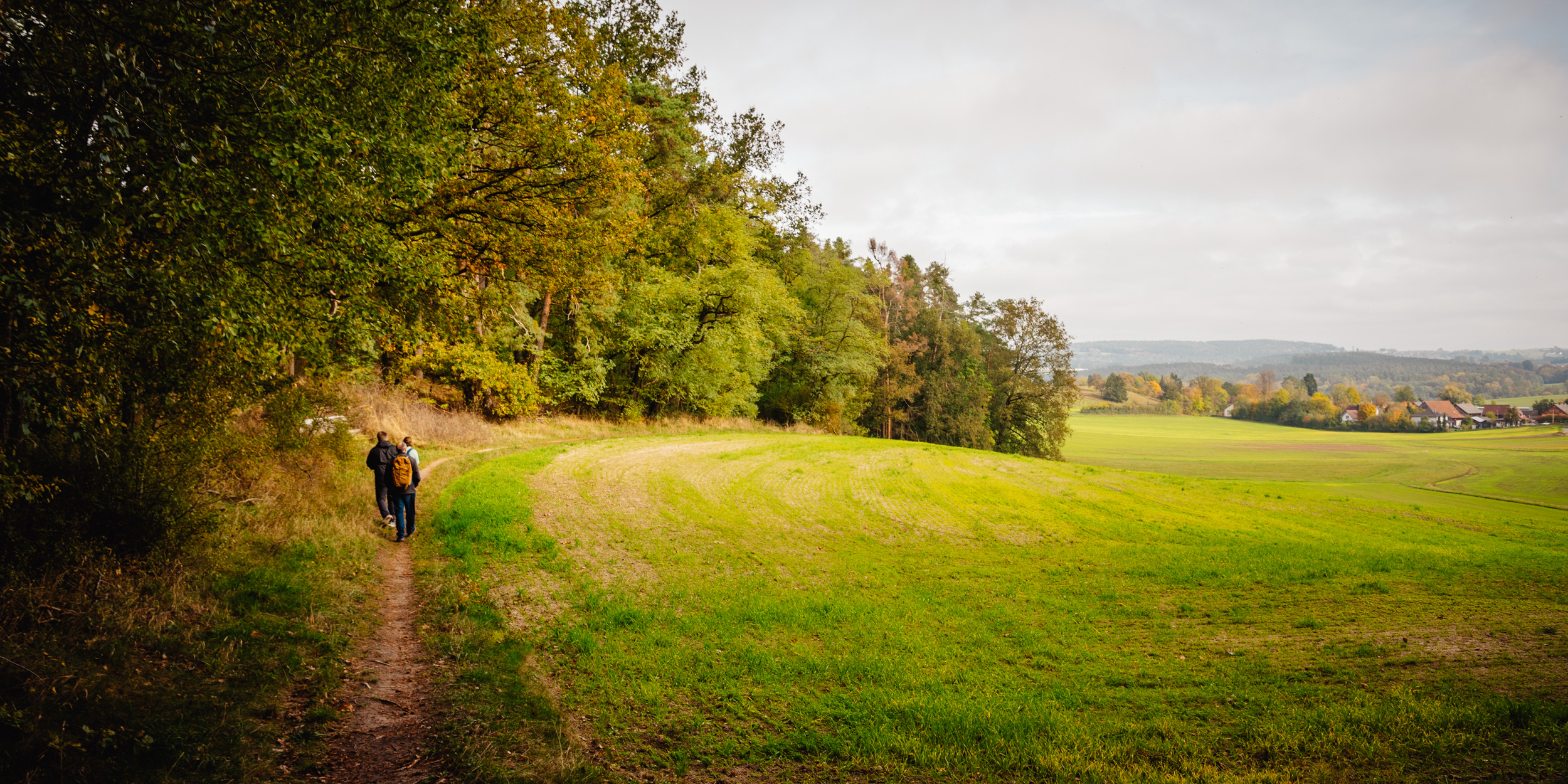 2024-10-19 Buchstein 09543