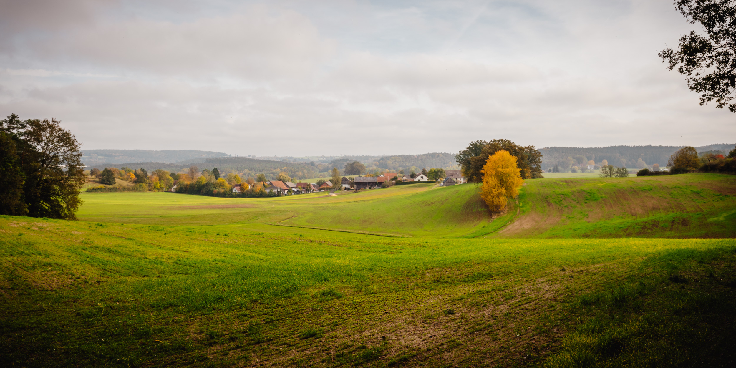 Bayreuth Buchstein