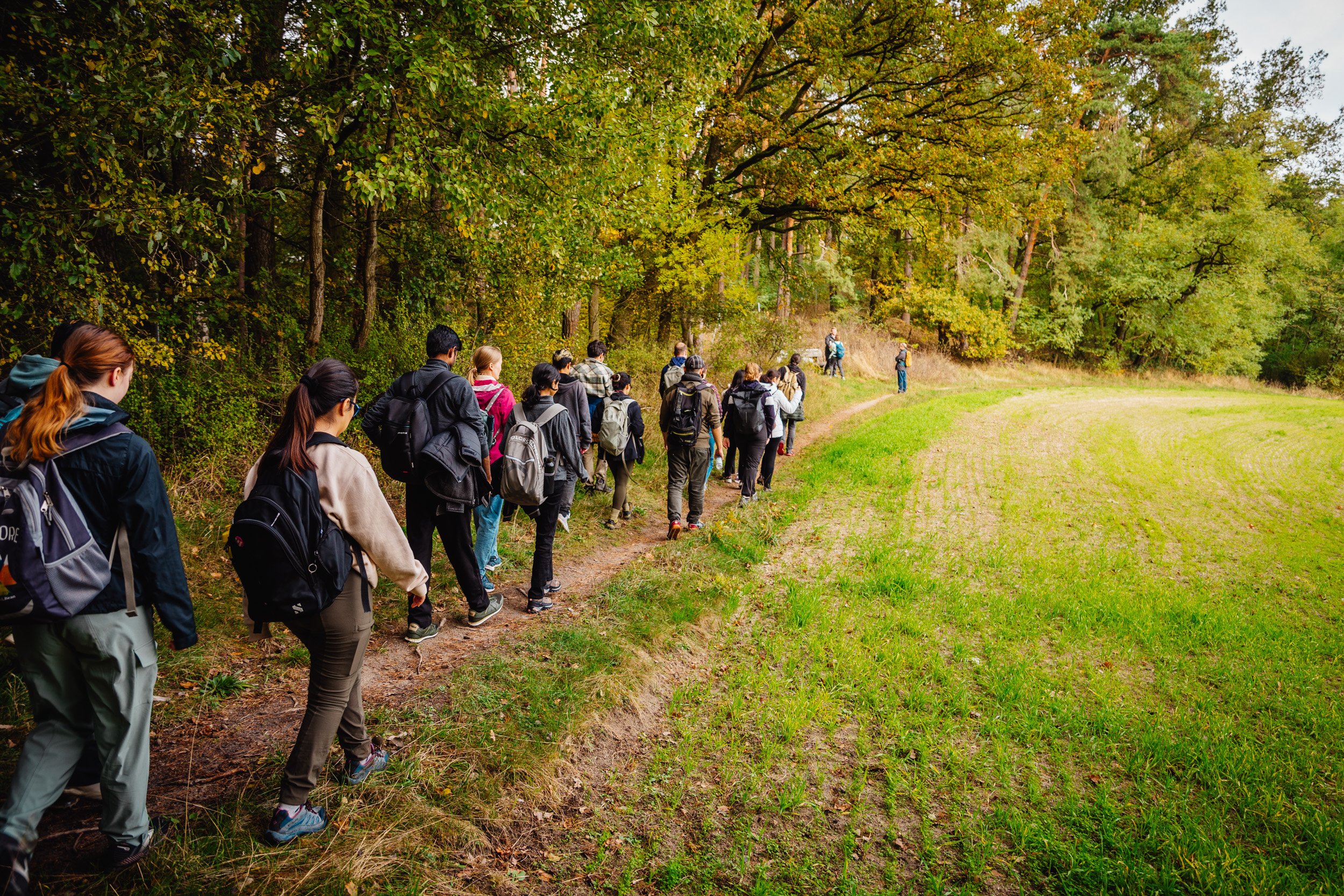 2024-10-19 Buchstein 09550