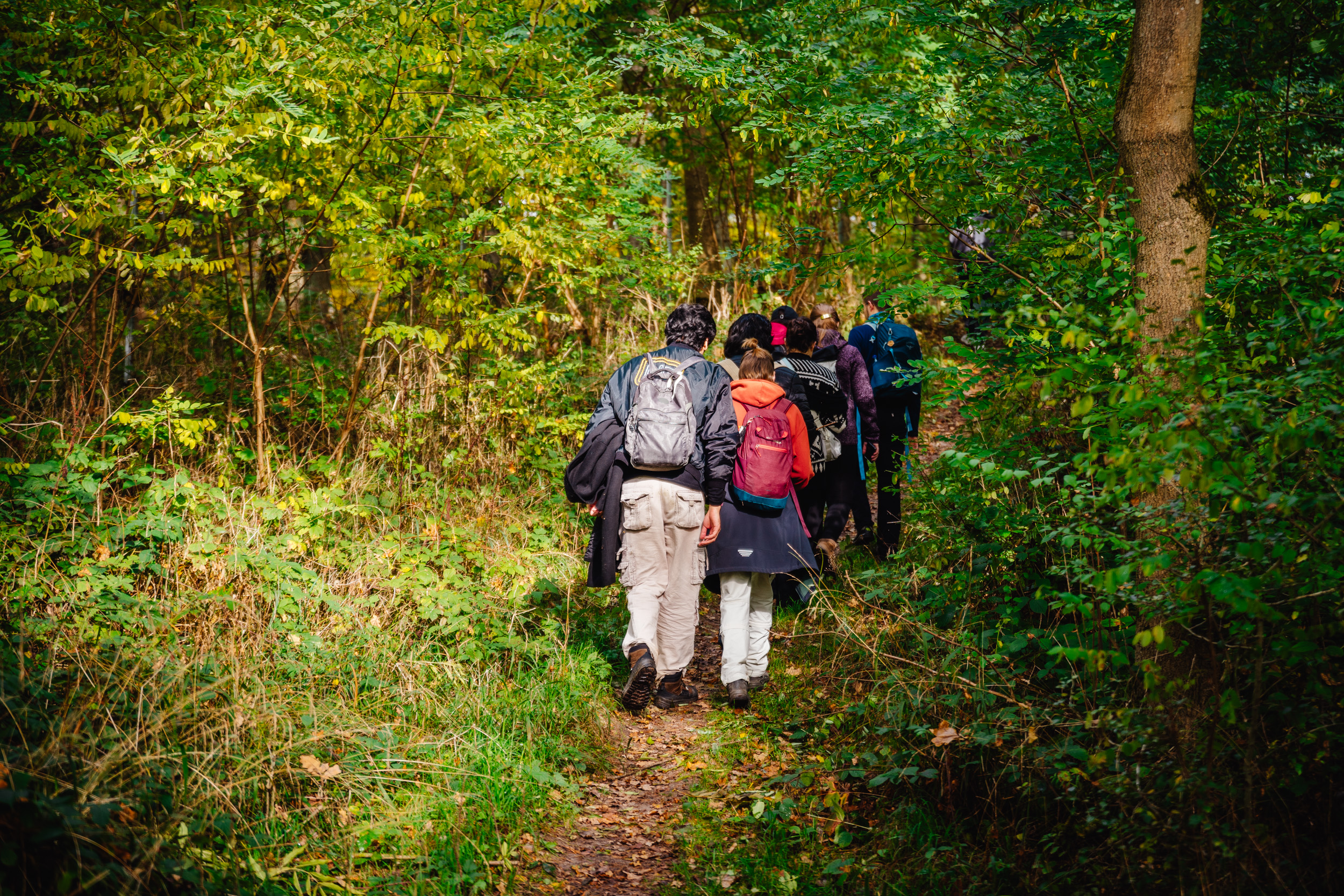 2024-10-19 Buchstein 09566