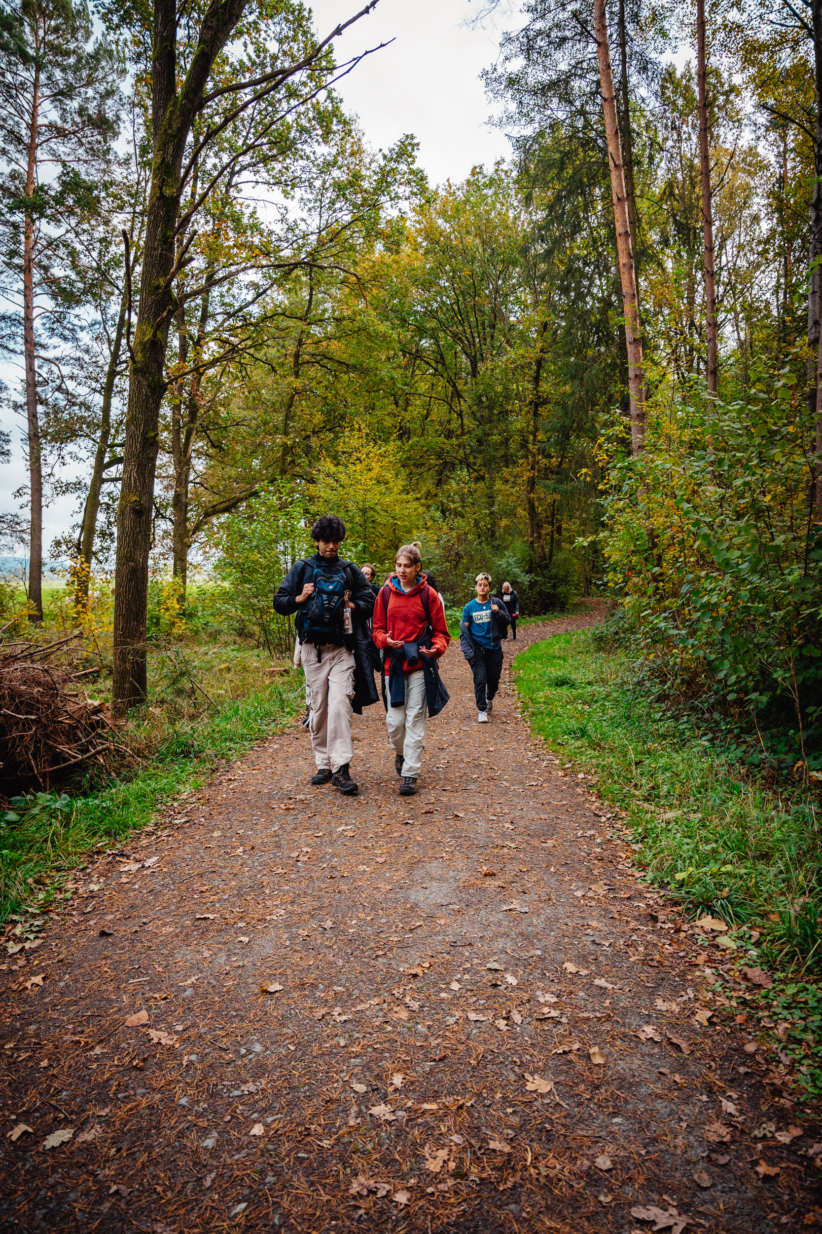 2024-10-19 Buchstein 09619