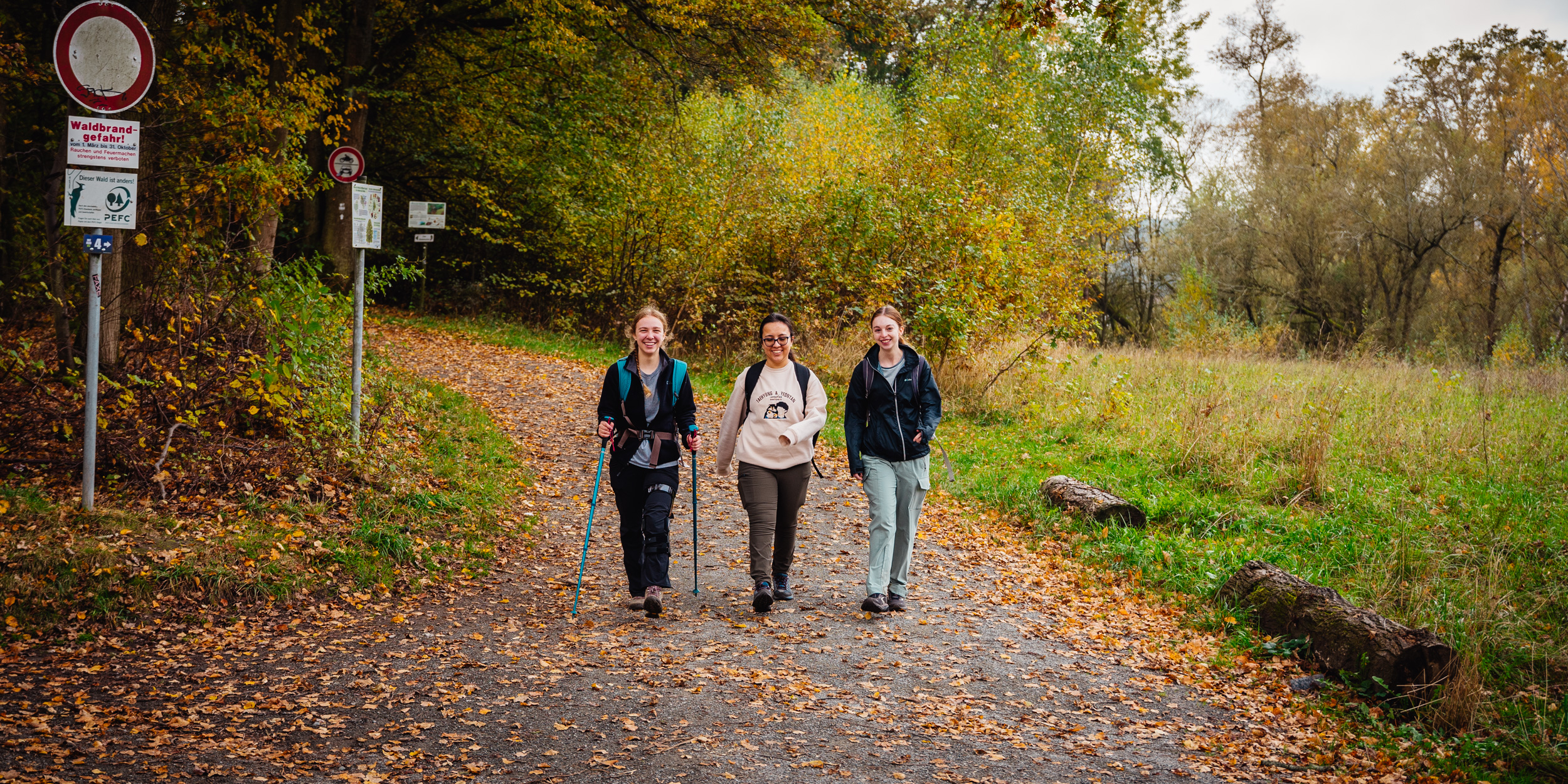 2024-10-19 Buchstein 09653