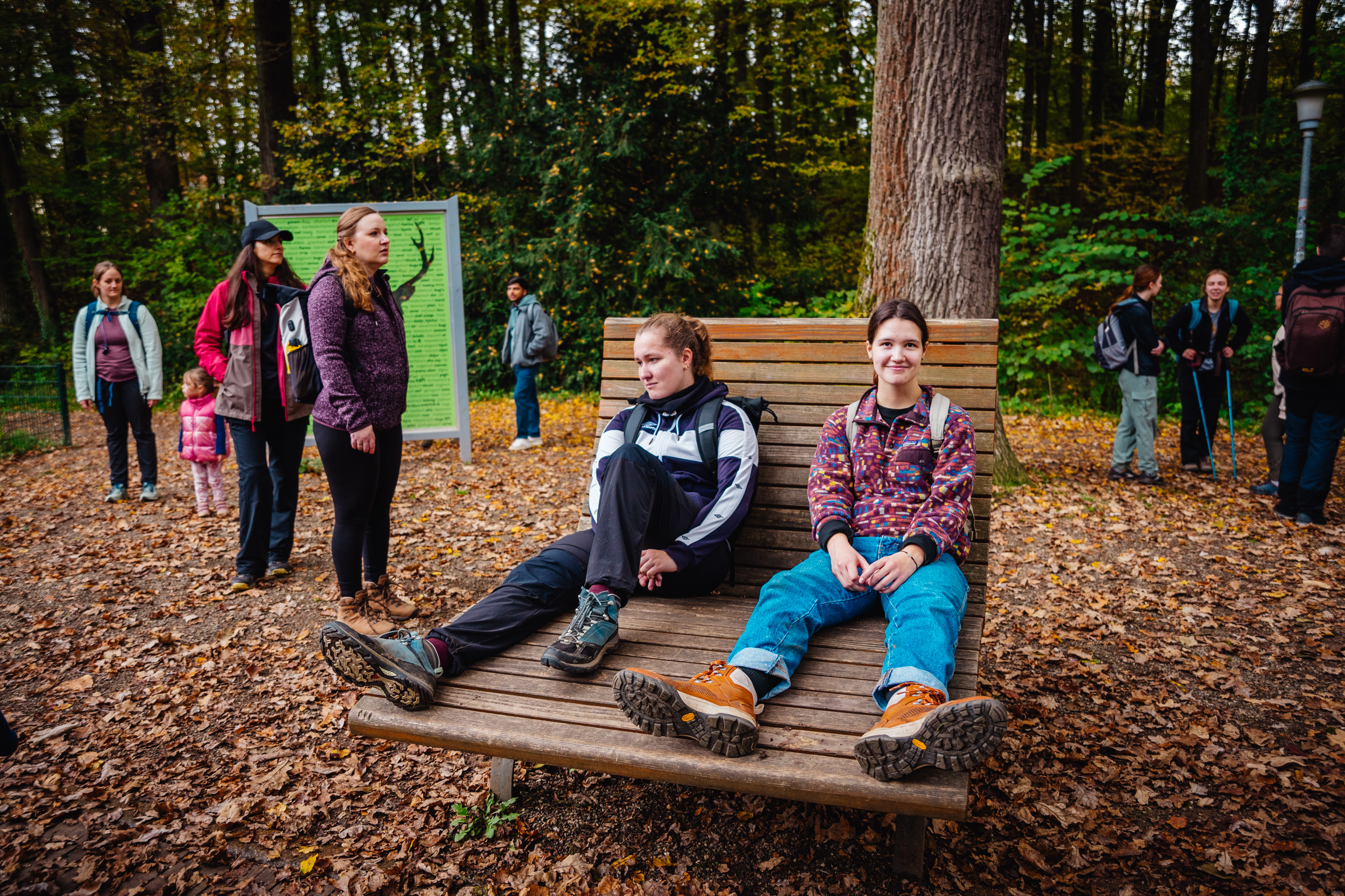 2024-10-19 Buchstein 09657