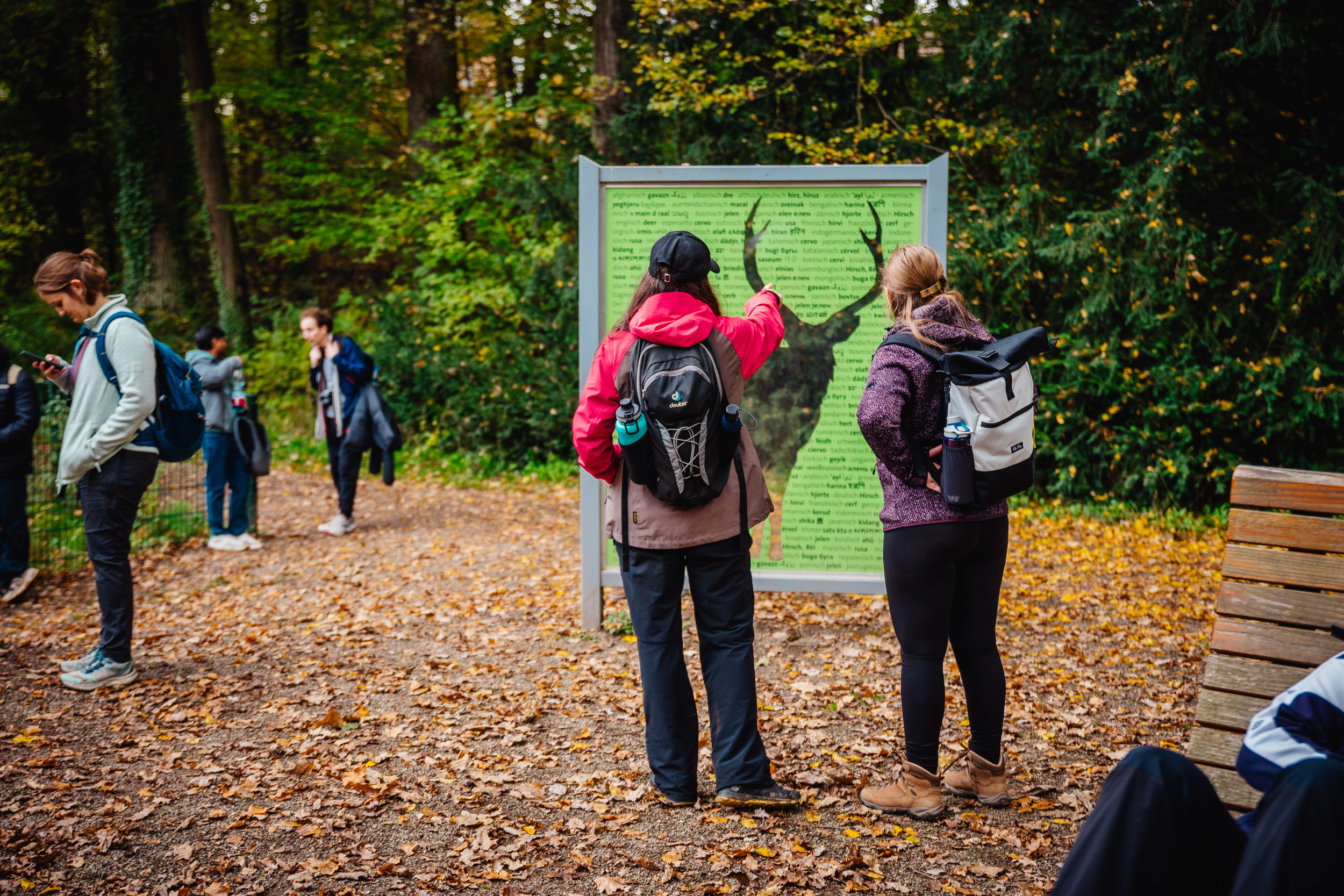 2024-10-19 Buchstein 09659