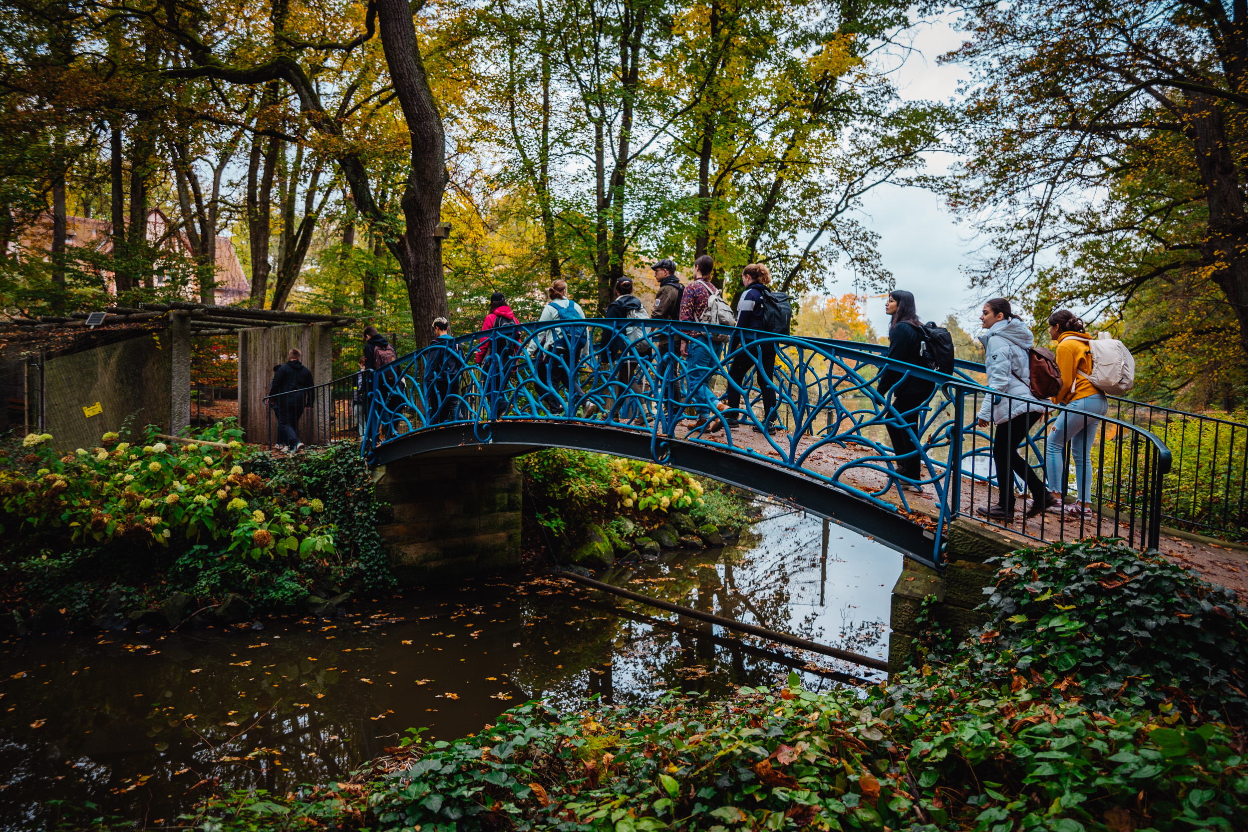 2024-10-19 Buchstein 09685