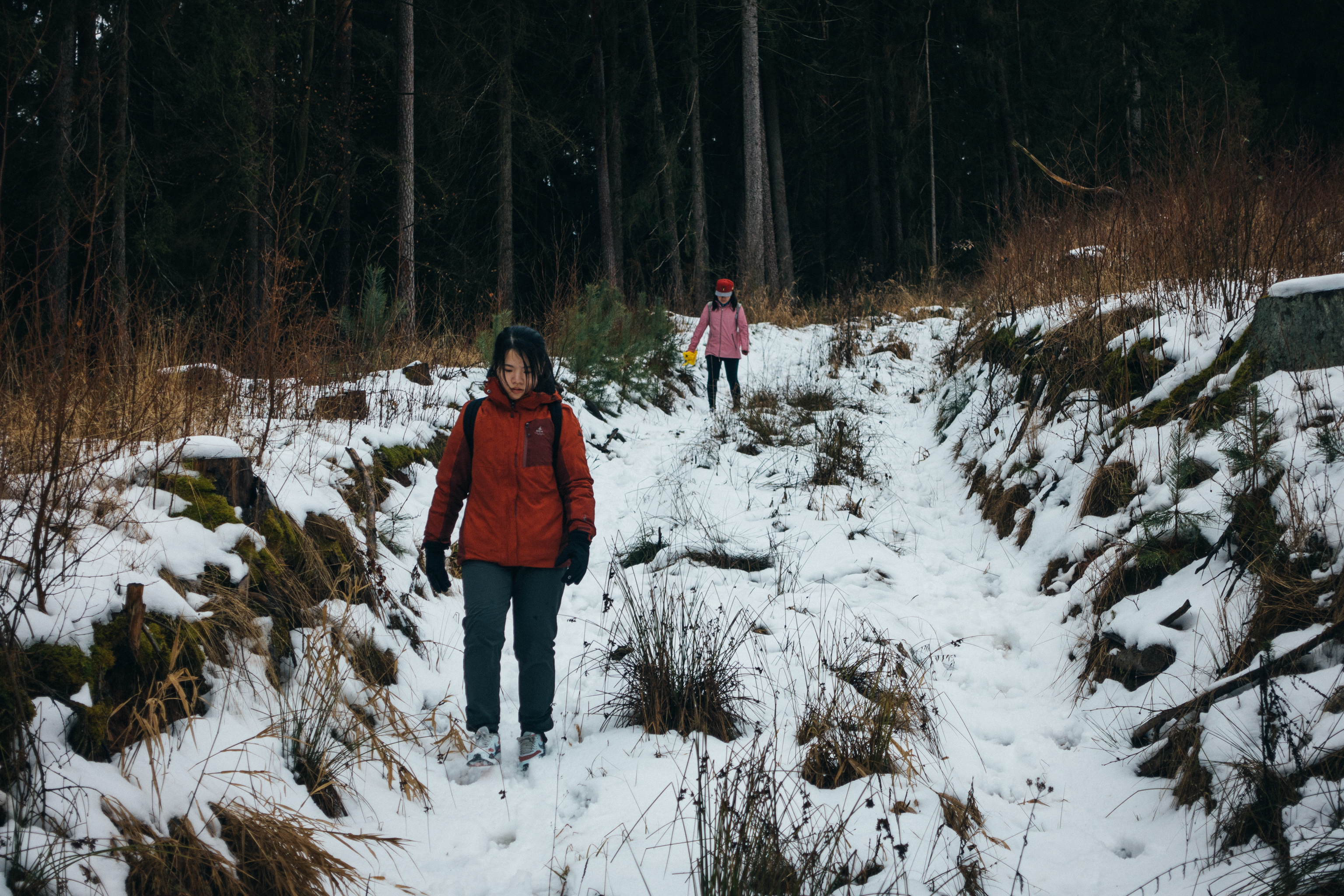 2019-02-10_Pensenberg-0083