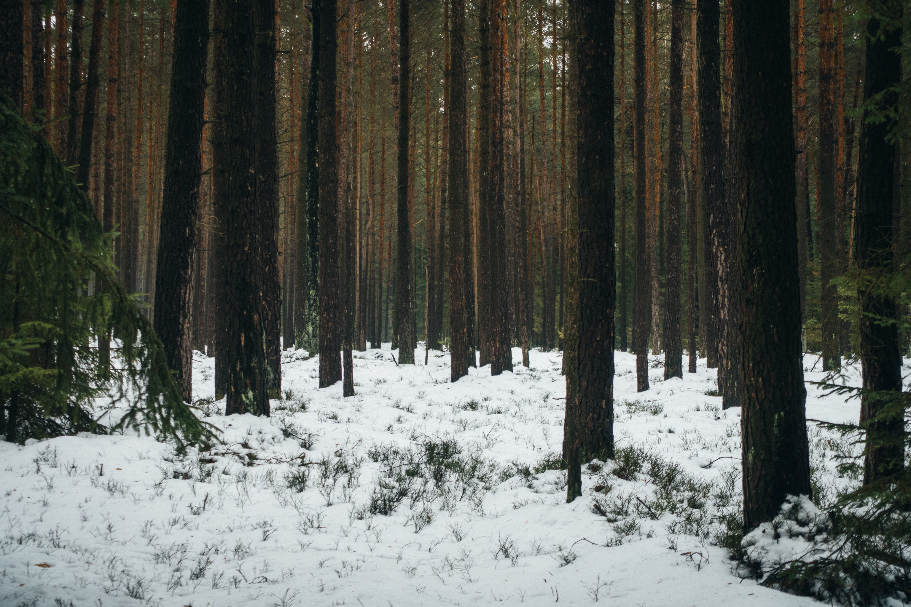 2019-02-10_Pensenberg-0087