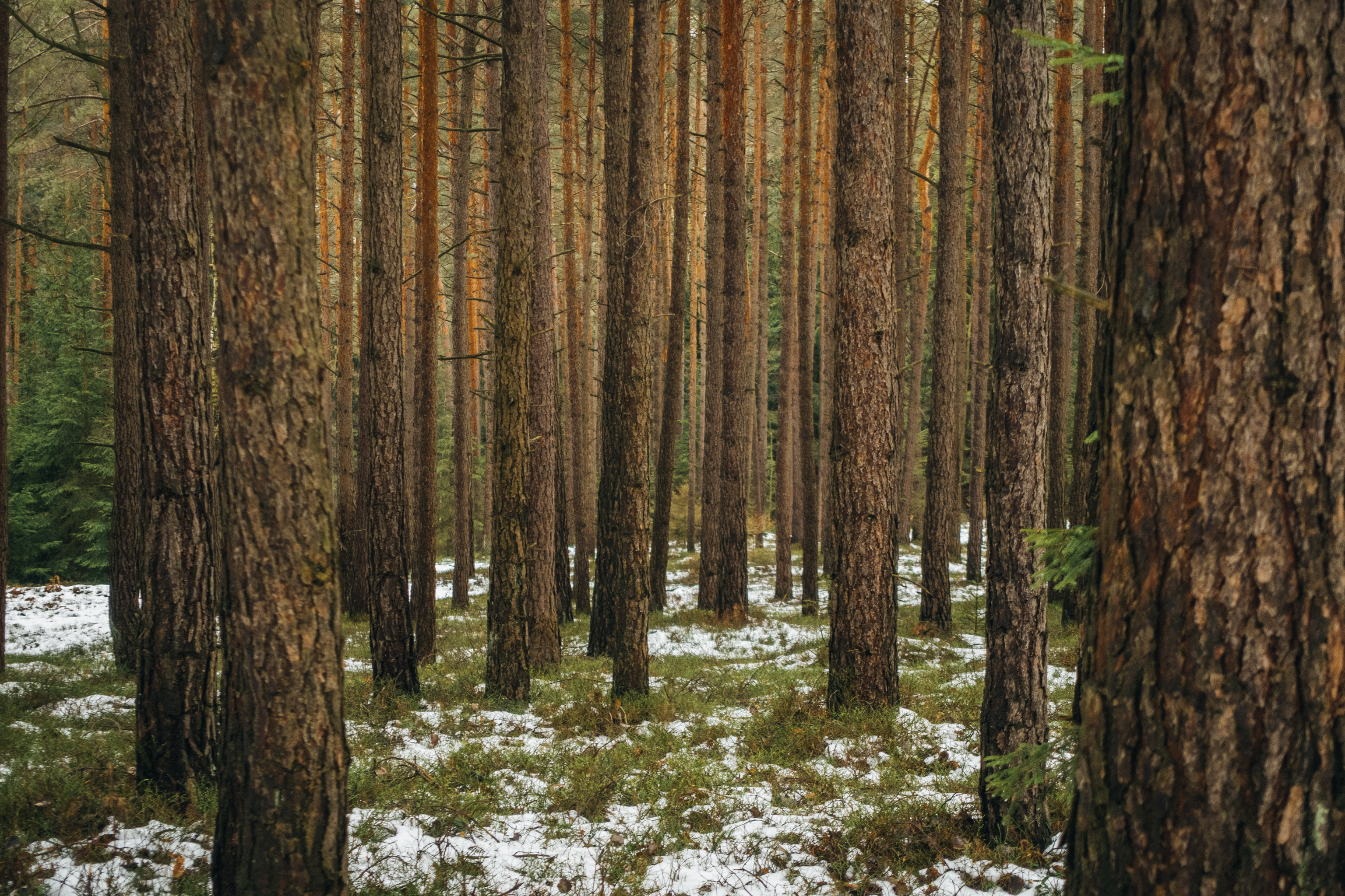 2019-02-10_Pensenberg-0114