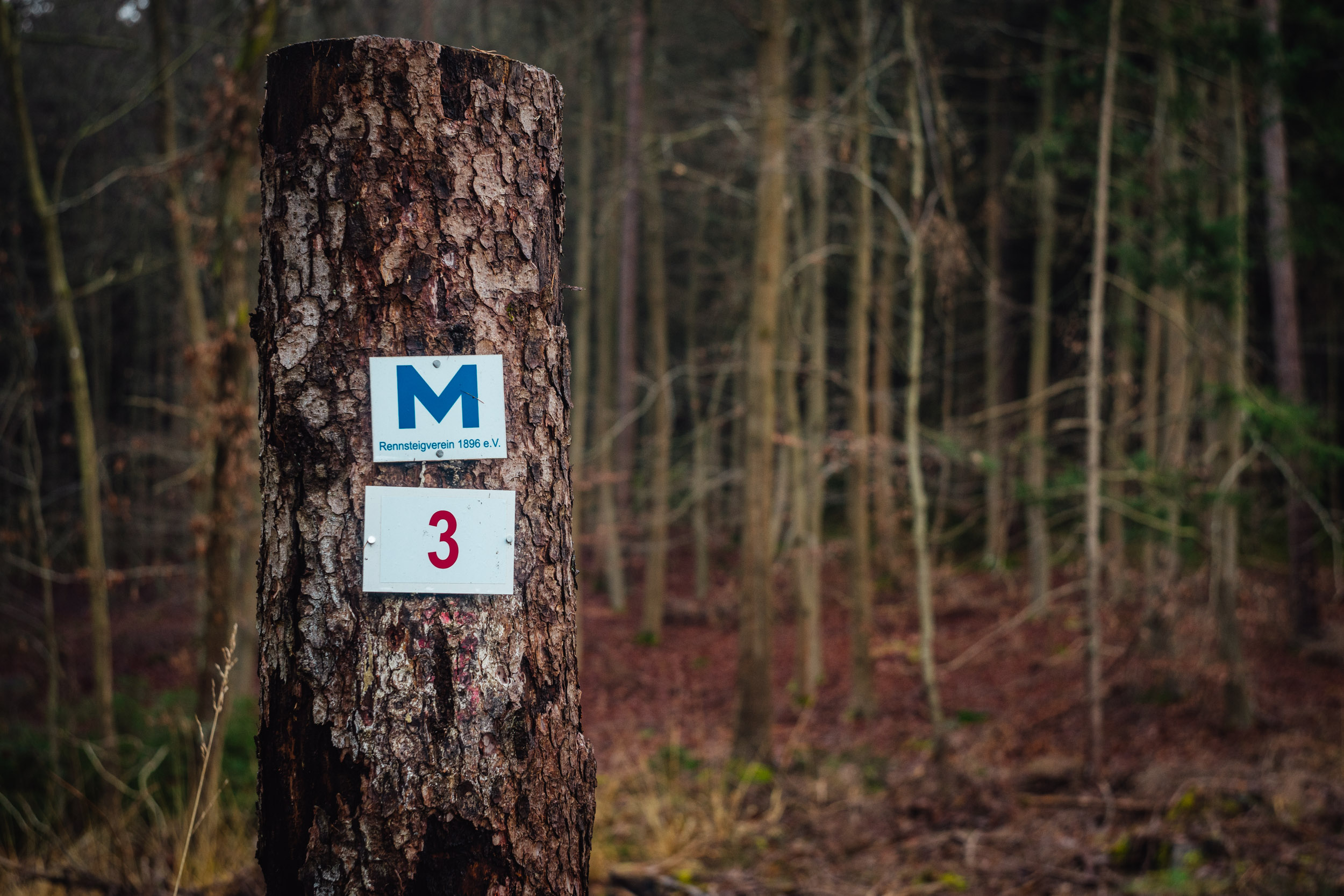 2024-12-25 Christmas Hike (Kordigast) 03416