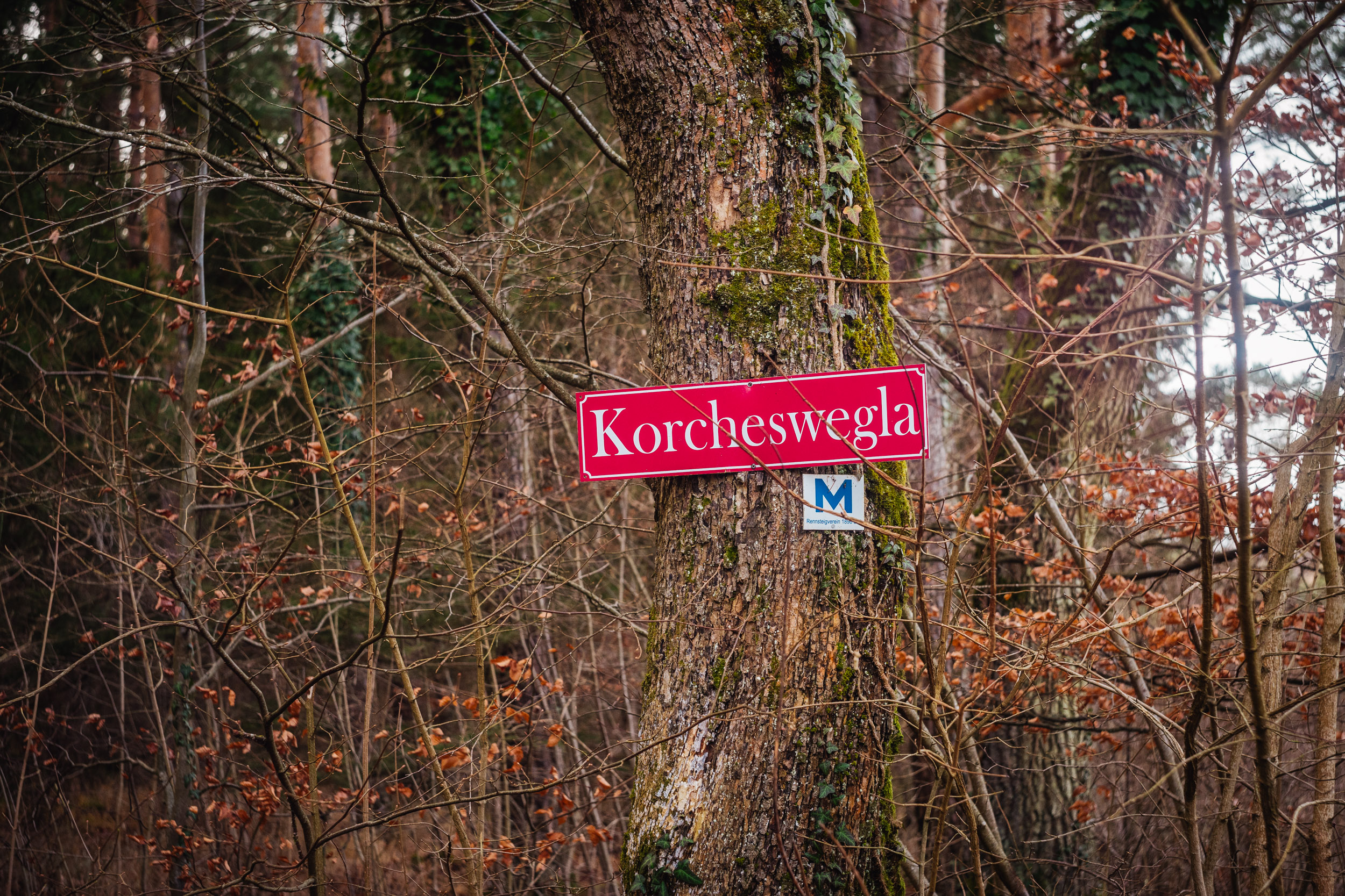 2024-12-25 Christmas Hike (Kordigast) 03461