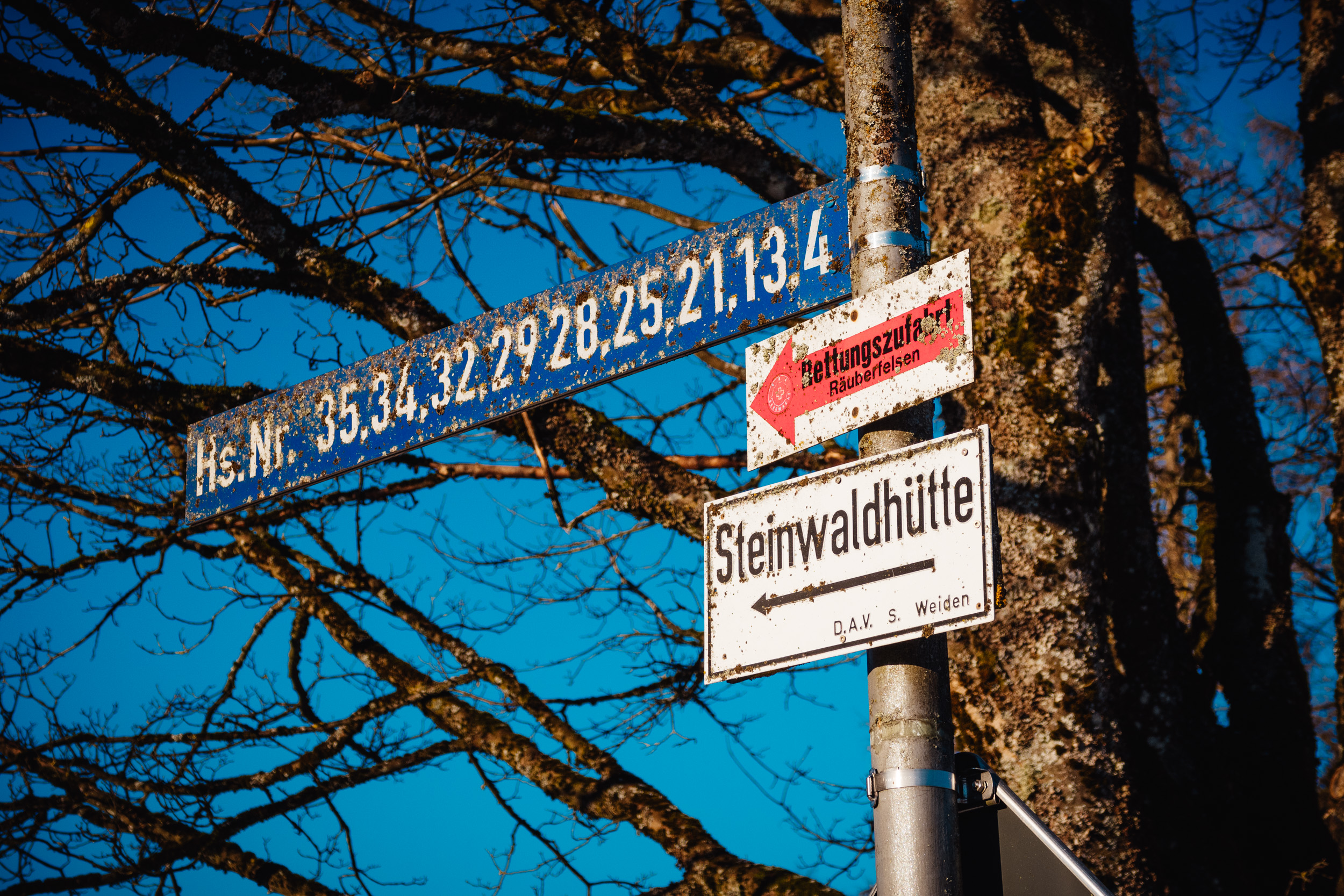 2025-01-18 091400 Steinwald Weekend 1649
