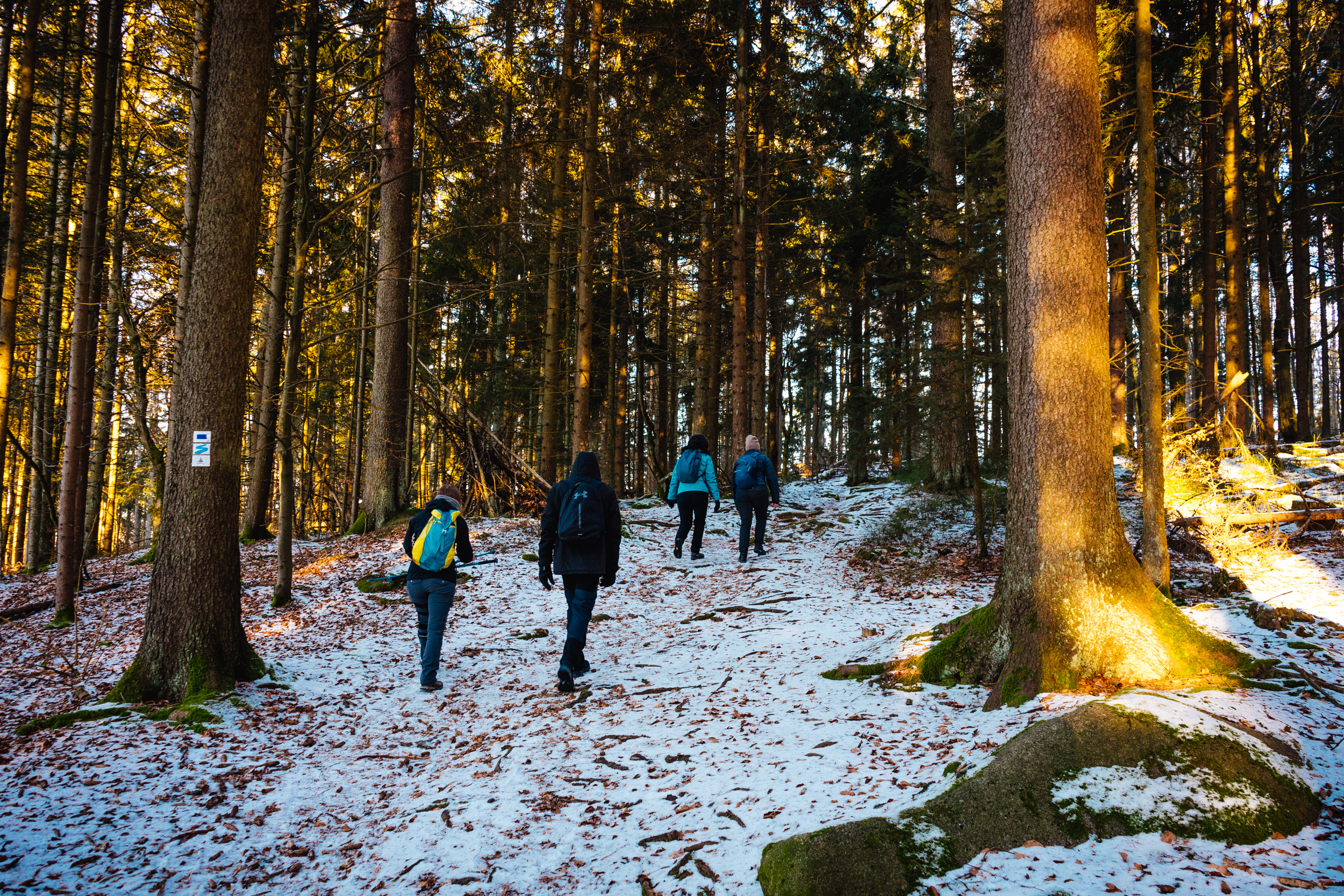 2025-01-18 091746 Steinwald Weekend 04261