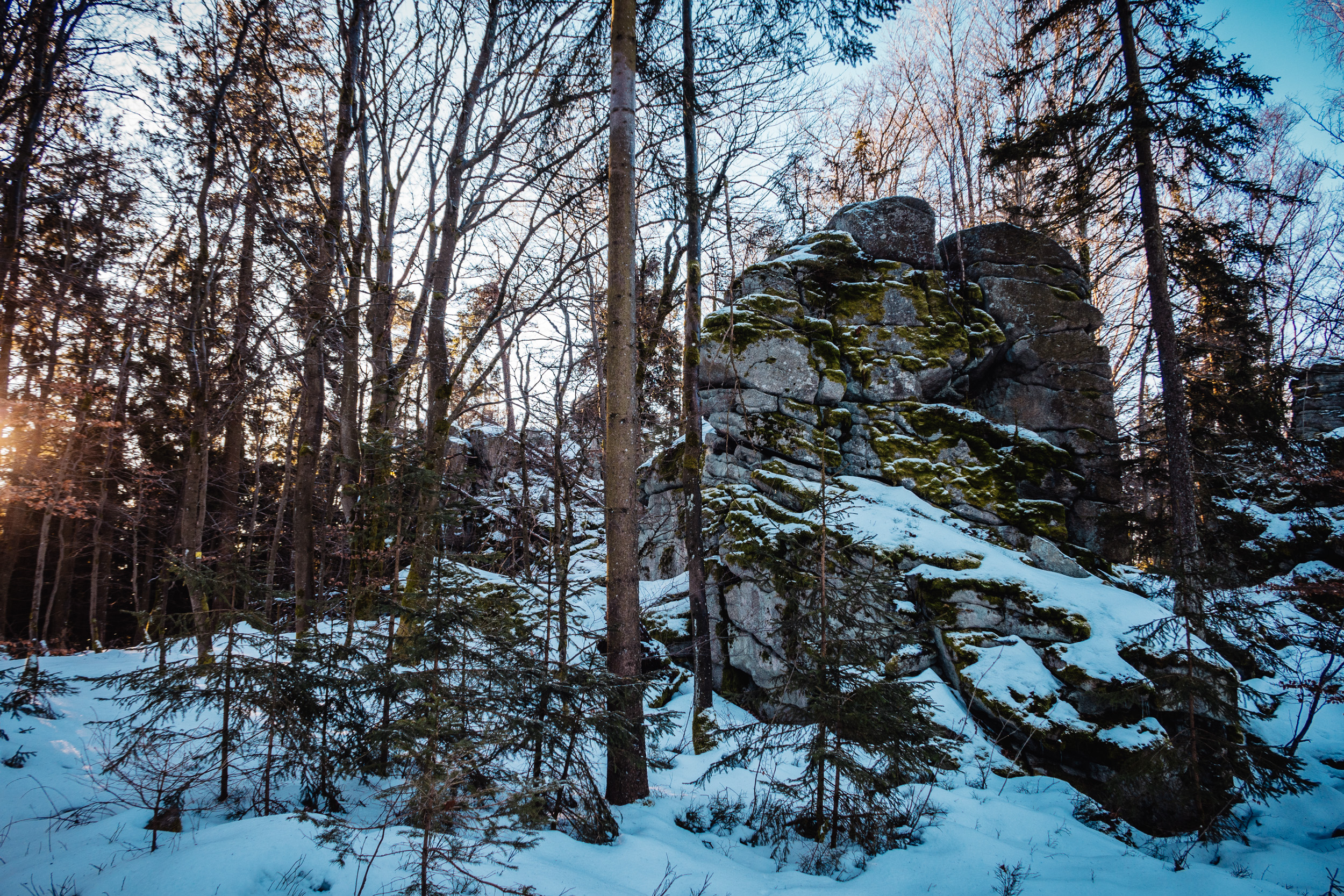 2025-01-18 092246 Steinwald Weekend 1662